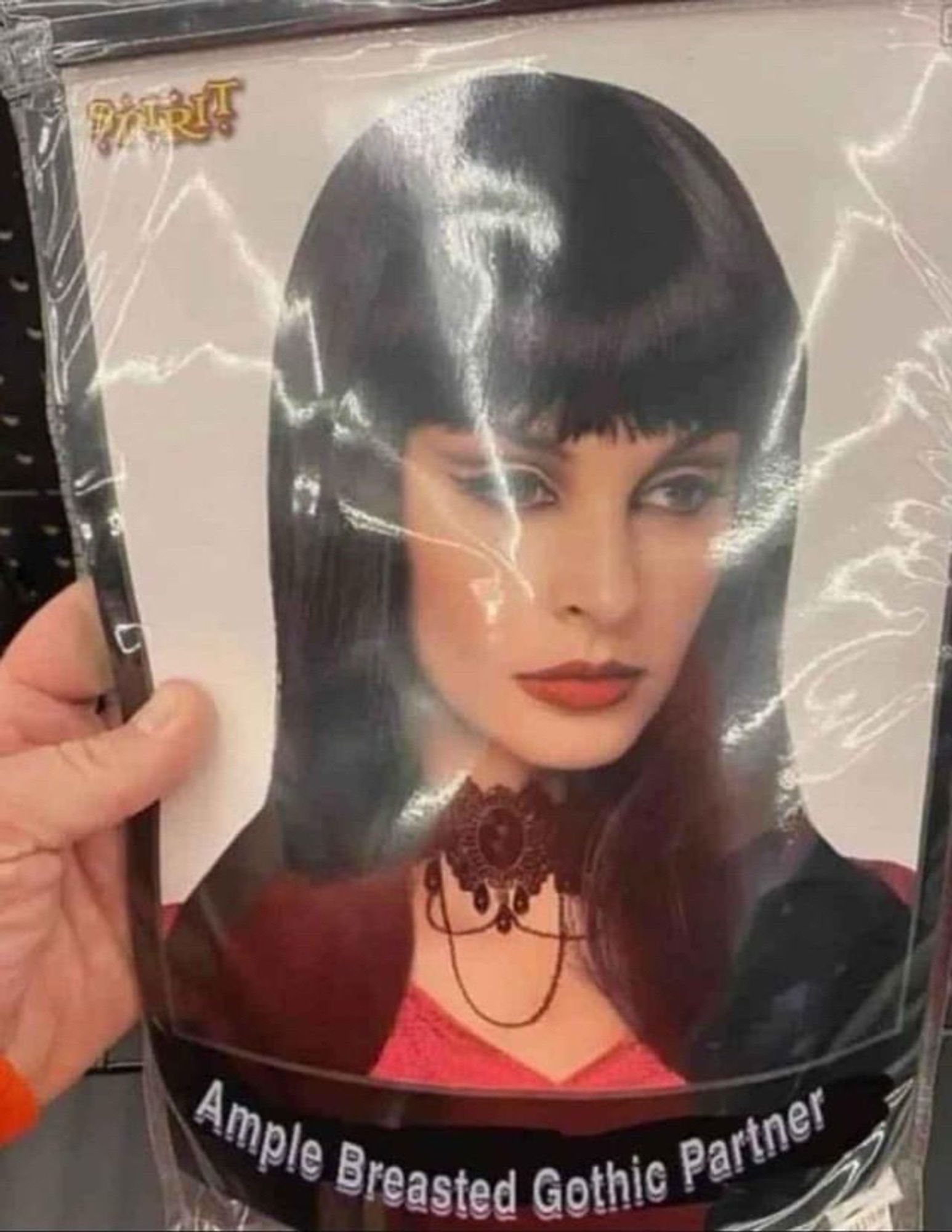 halloween costume package, the costume is called “ample breasted gothic partner”