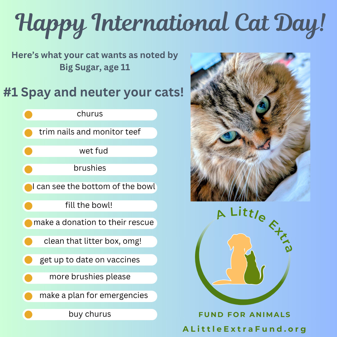 A graphic celebrating International Cat Day featuring the oldest cat in the house, Big Sugar who is 11 this year. His list on how to celebrate is as follows

Spay and neuter yur cats
churus
trim nails and monitor teef
wet fud
brushies
I can see the bottom of the bowl
Fill the bowl!
make a donation to their rescue (a little extra maybe?)
Clean that litterbox, omg!
get up to date on vaccines
more brushies please
make a plan for emergencies
buy churus

There is a picture of big sugar who is a long hair mackeral tabby with a very distinct M on his forehead and a and bright green eyes and the logo for A Little Extra Fund for Animals including a website: ALitterExtraFund.org