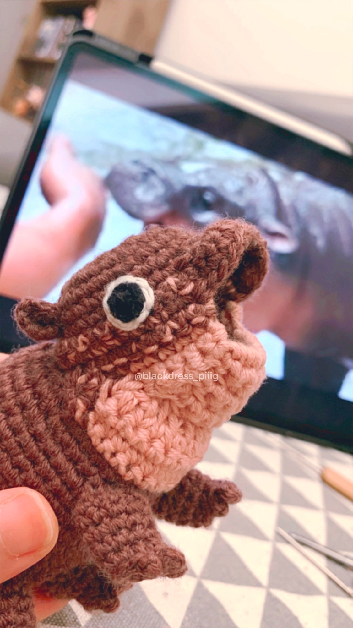 A crochet toy hippo moo deng.