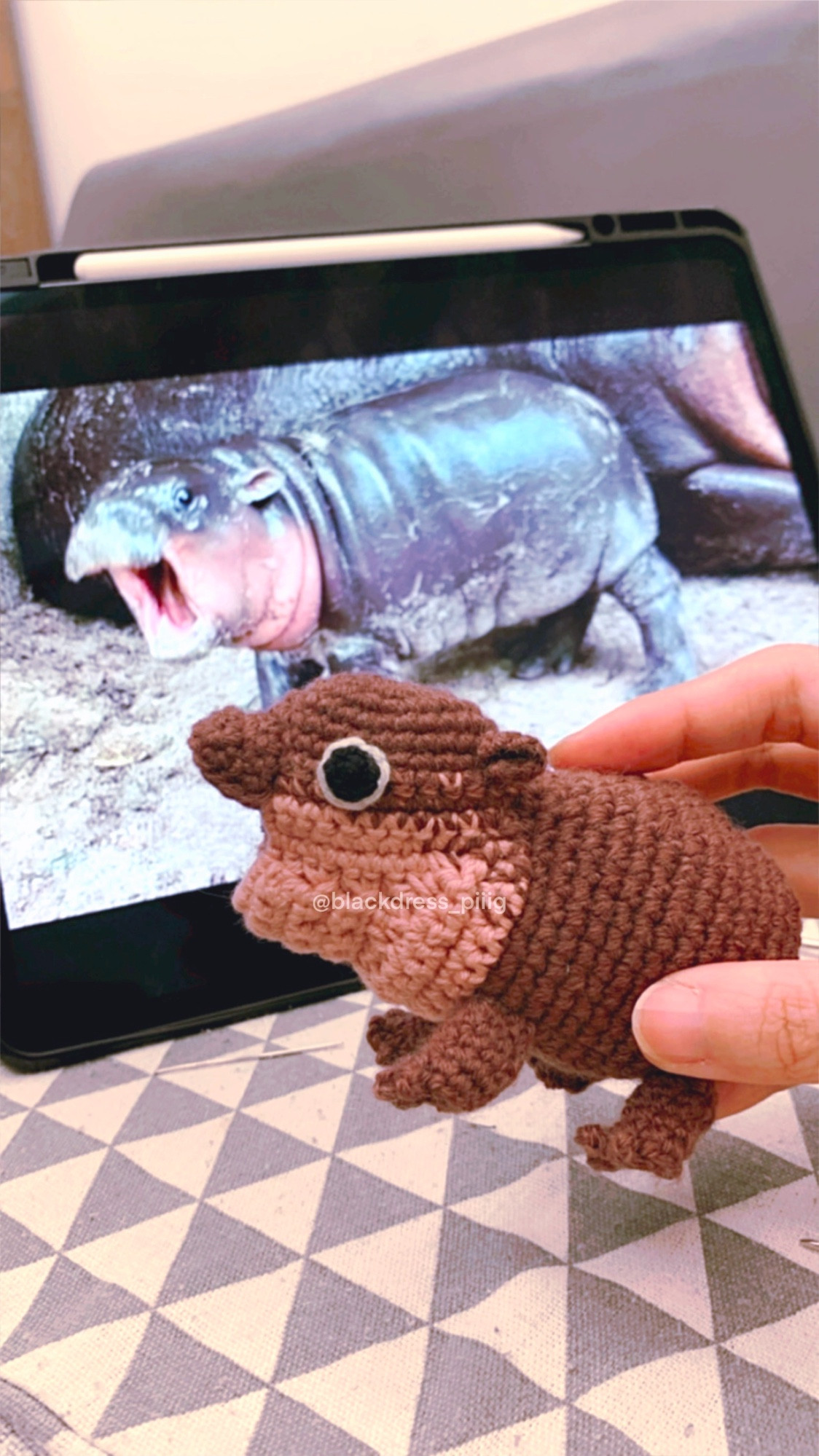 A crochet toy hippo moo deng.