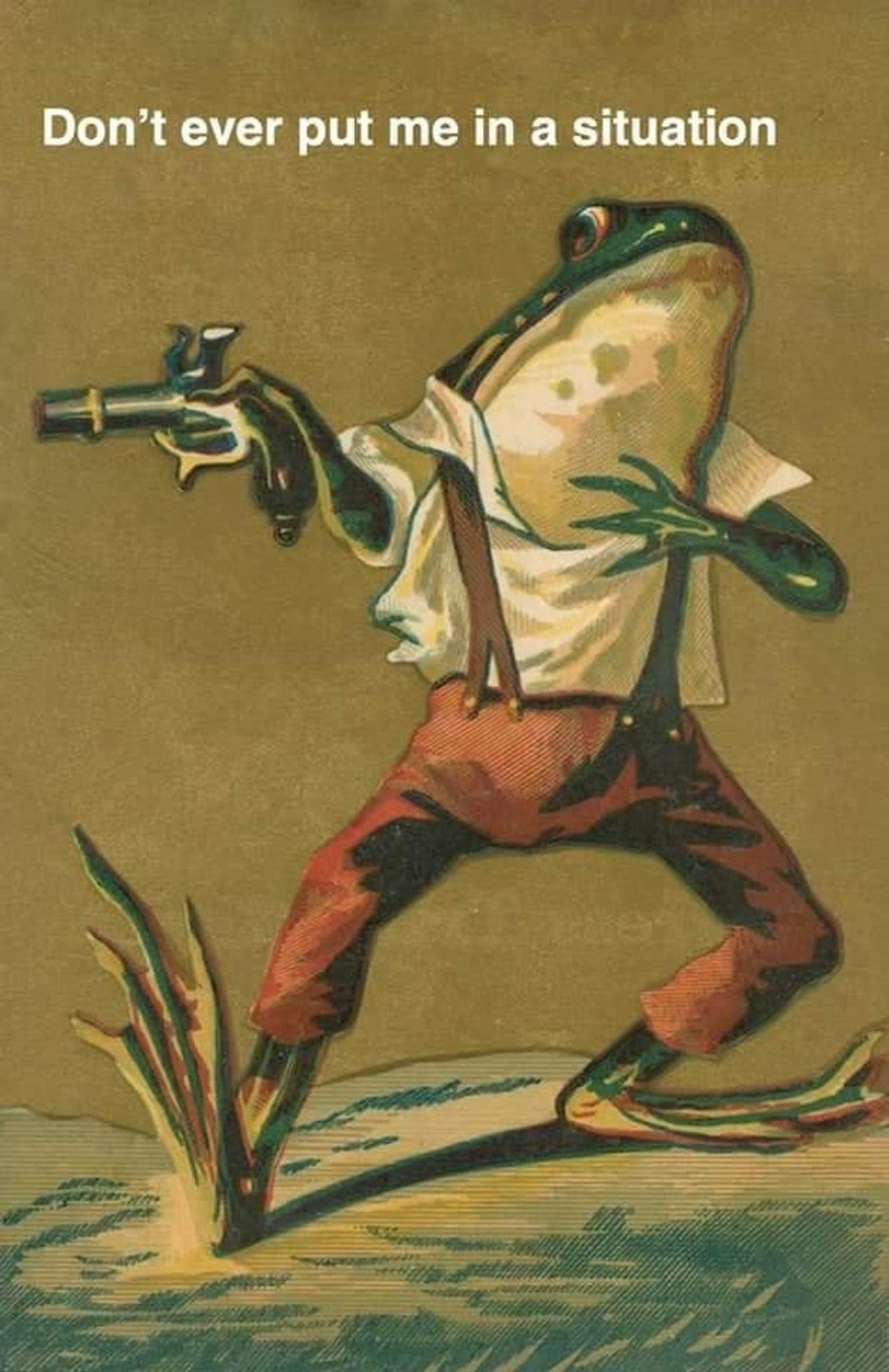 Frog with a gun saying “Don’t ever put me in a situation”