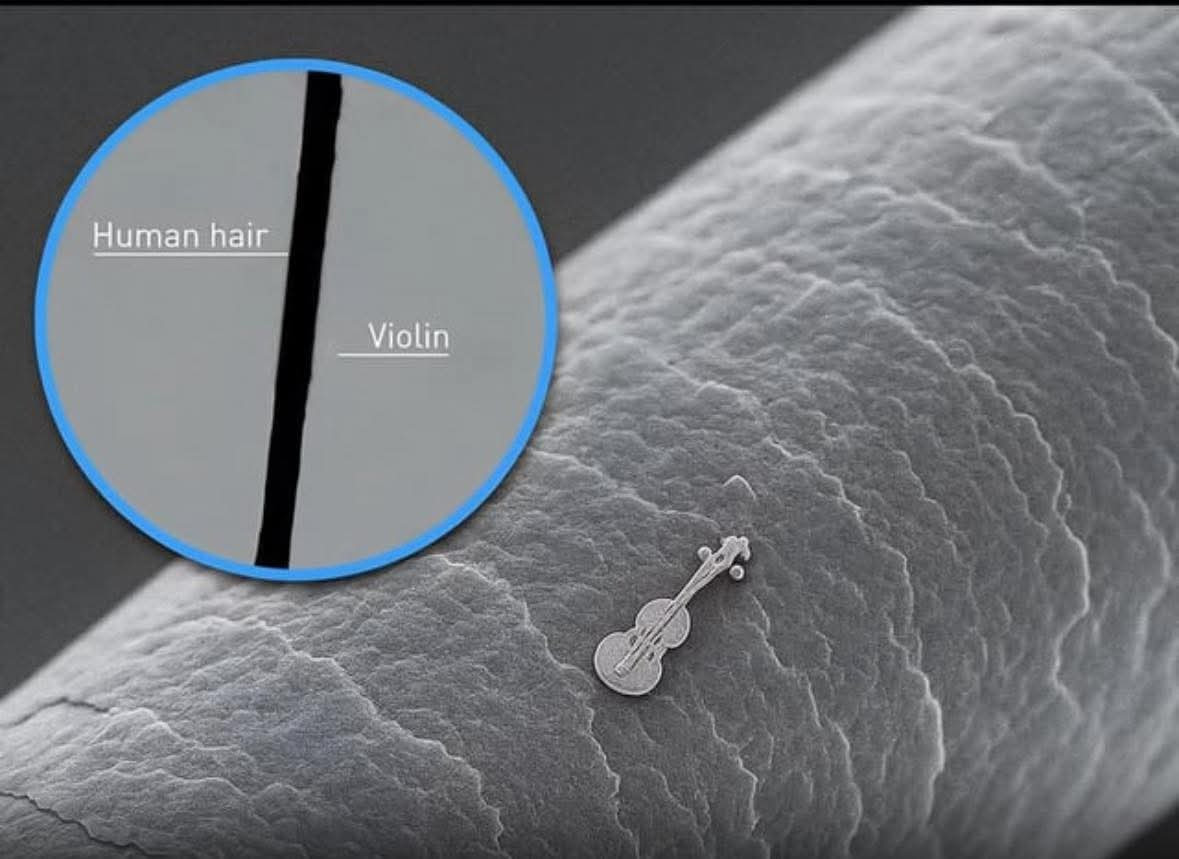 Microscopic violin compared to human hair