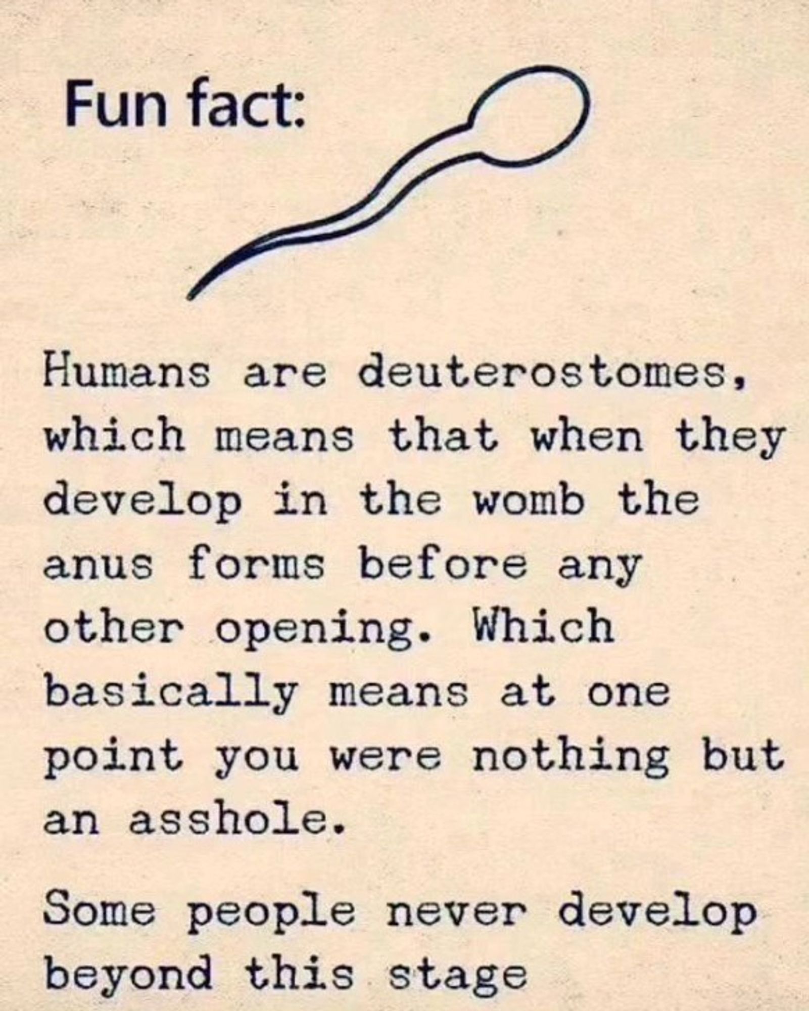 Fun fact:
Humans are deuterostomes, which means that when they develop in the womb the anus forms before any other opening.
Which basically means at one point you were nothing but an asshole.

Some people never develop beyond this stage...