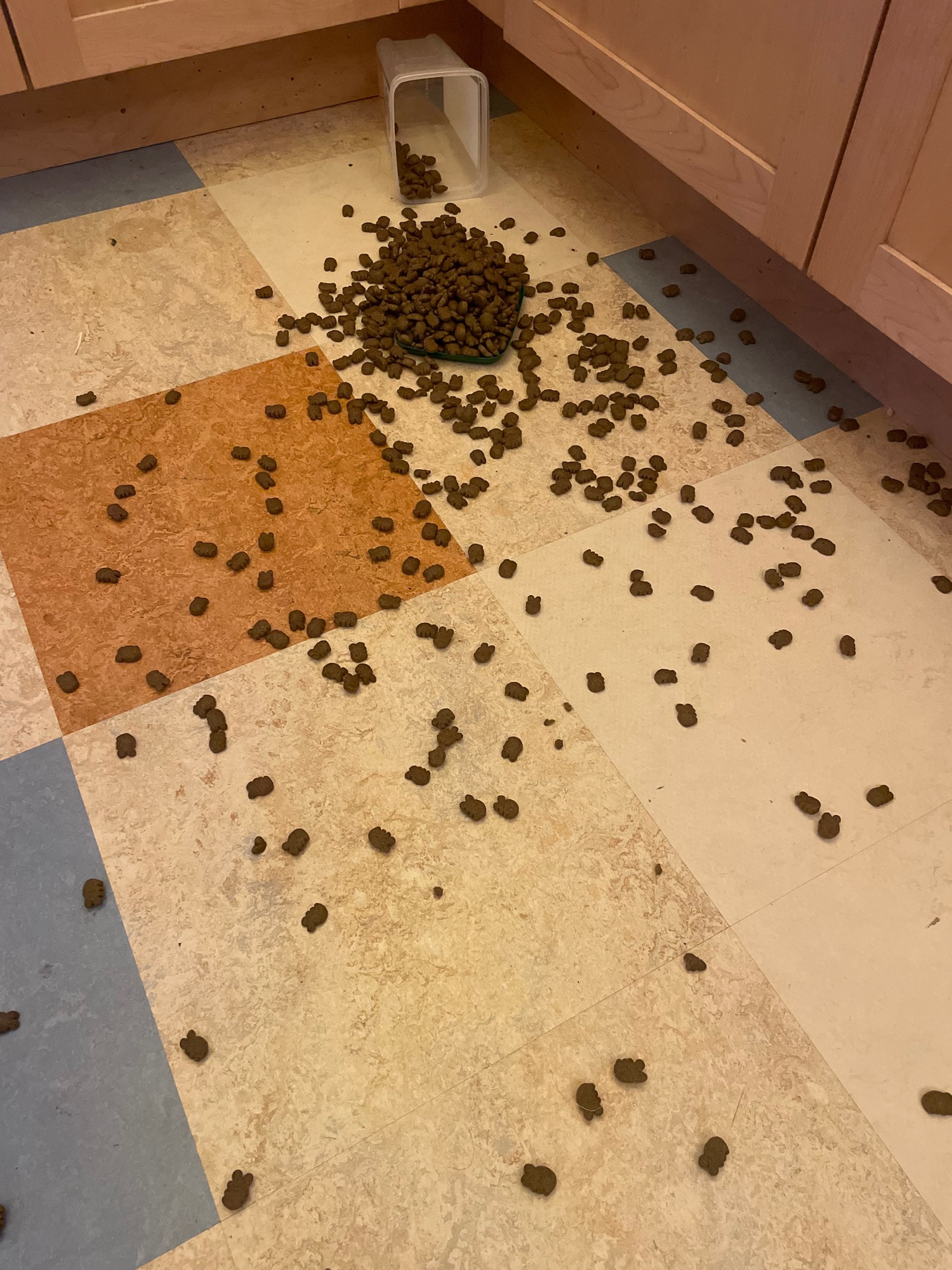 A large container of cat treats lies on its side, contents strewn about the multi colour kitchen tile floor. No culprit is in view.