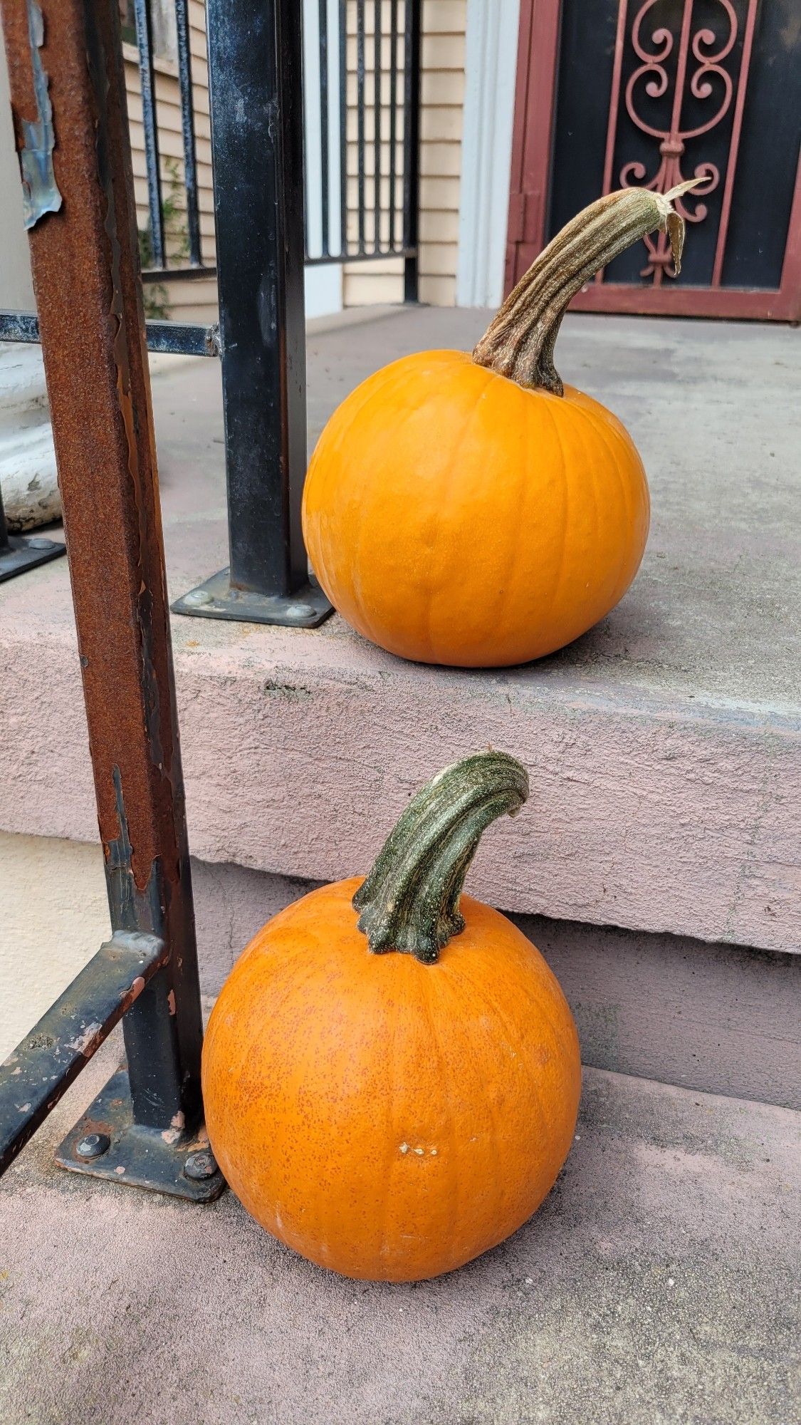 Two pumpkins on a stoop