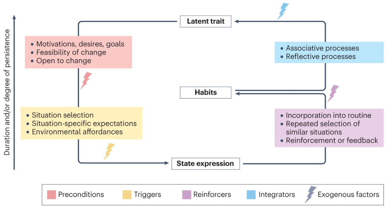 The process of personality change across levels of personality abstraction.