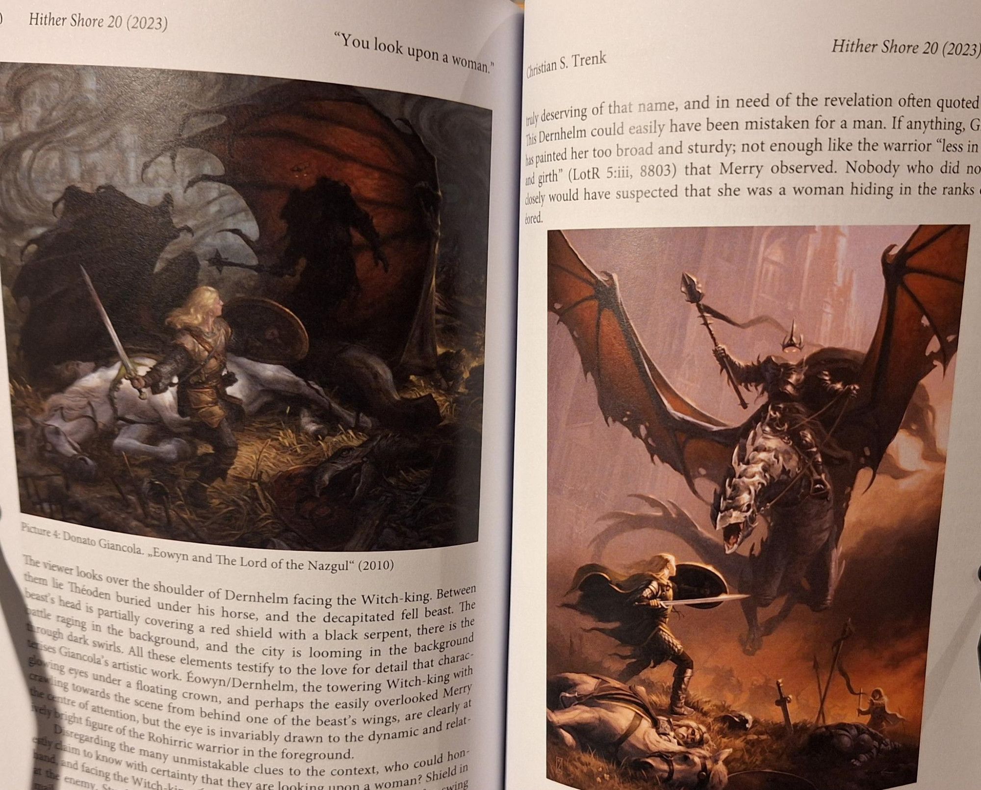 Illustrations of Eowyn's fight against the Witch-king of Angmar.