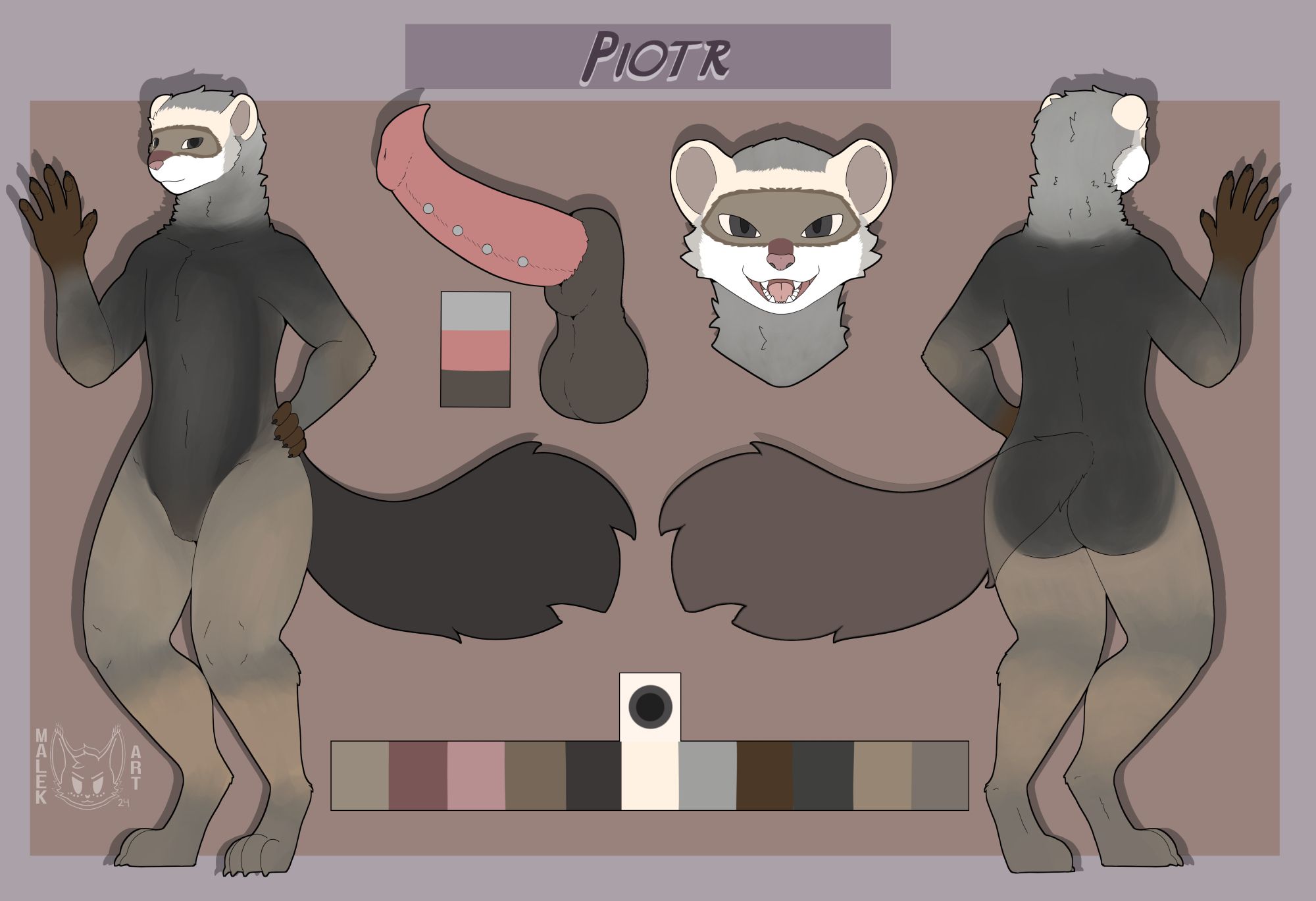 Ref sheet of my ferret, Piotr. He's standing with his right paw raised and his left paw on his hip. His tail is somewhat busy and fluffy to reflect his polecat ancestry. An insert shows his genitals, with a Jacob's Ladder piercing along his penis. A second insert shows a headshot of him facing the viewer with his mouth open. His tail is transparent in the back view.