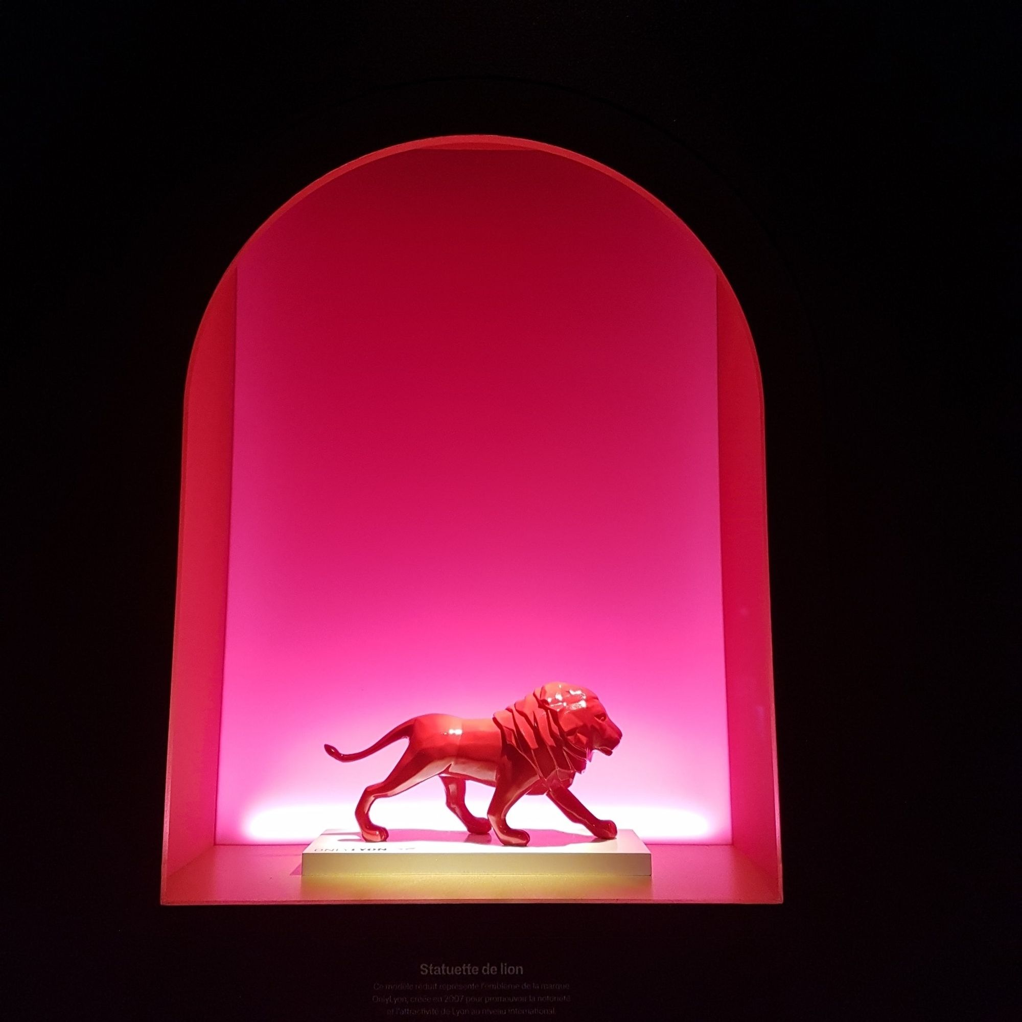 Photo de l'emblème de Lyon, un lion (forcément) rouge dans une niche à la lumière rose