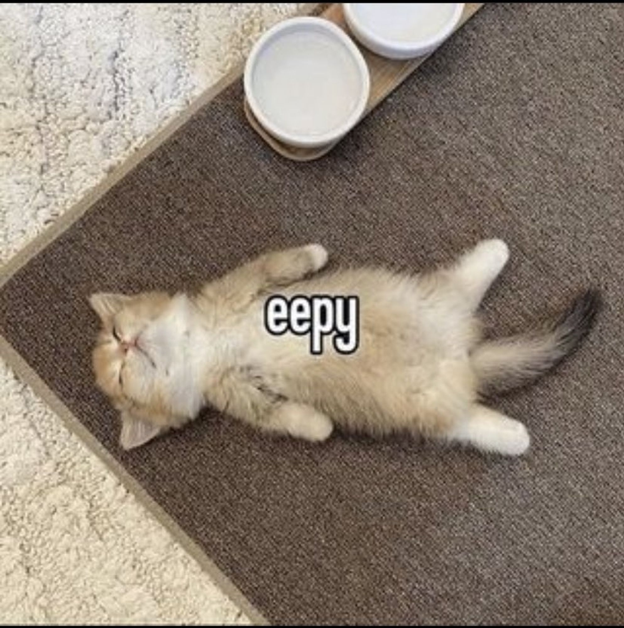 a kitten sleeping on their back with their arms on the sides, with the text "eepy"