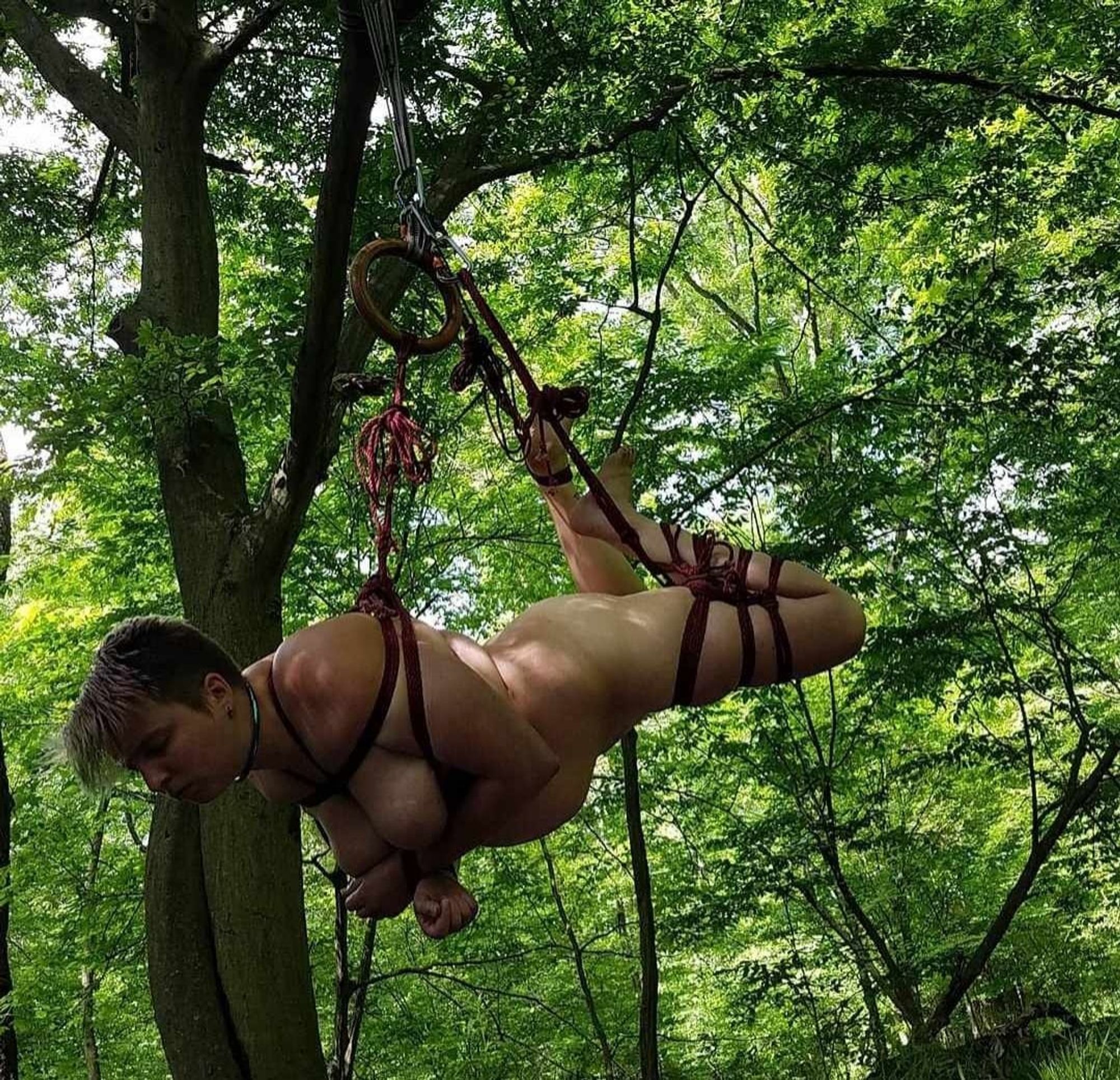 Me, a white non-binary person, suspended from a tree in rope, surrounded by greenery. I'm in a face down position. The rope uplines are coming from my back, an ankle and a futomomo. Many trees are in the background, offering a lovely greenscape.