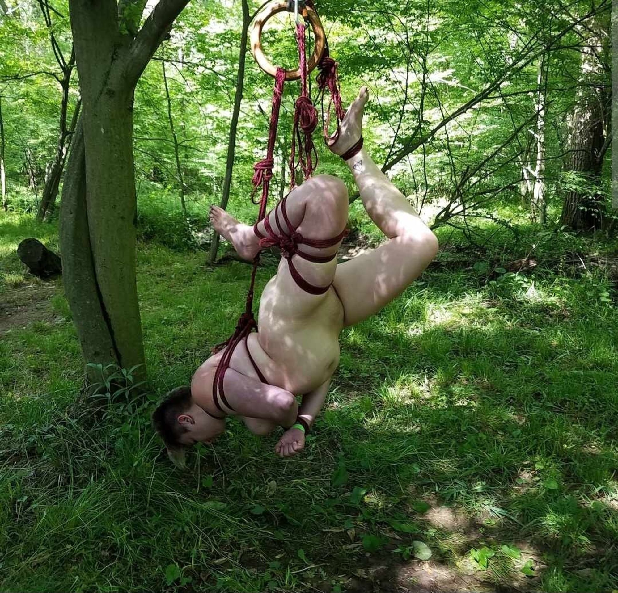 Me, a white non-binary person, suspended from a tree in rope, surrounded by greenery. I'm in a face down position. The rope uplines are coming from my back, an ankle and a futomomo. Grass below and bushes and trees all behind & around me.