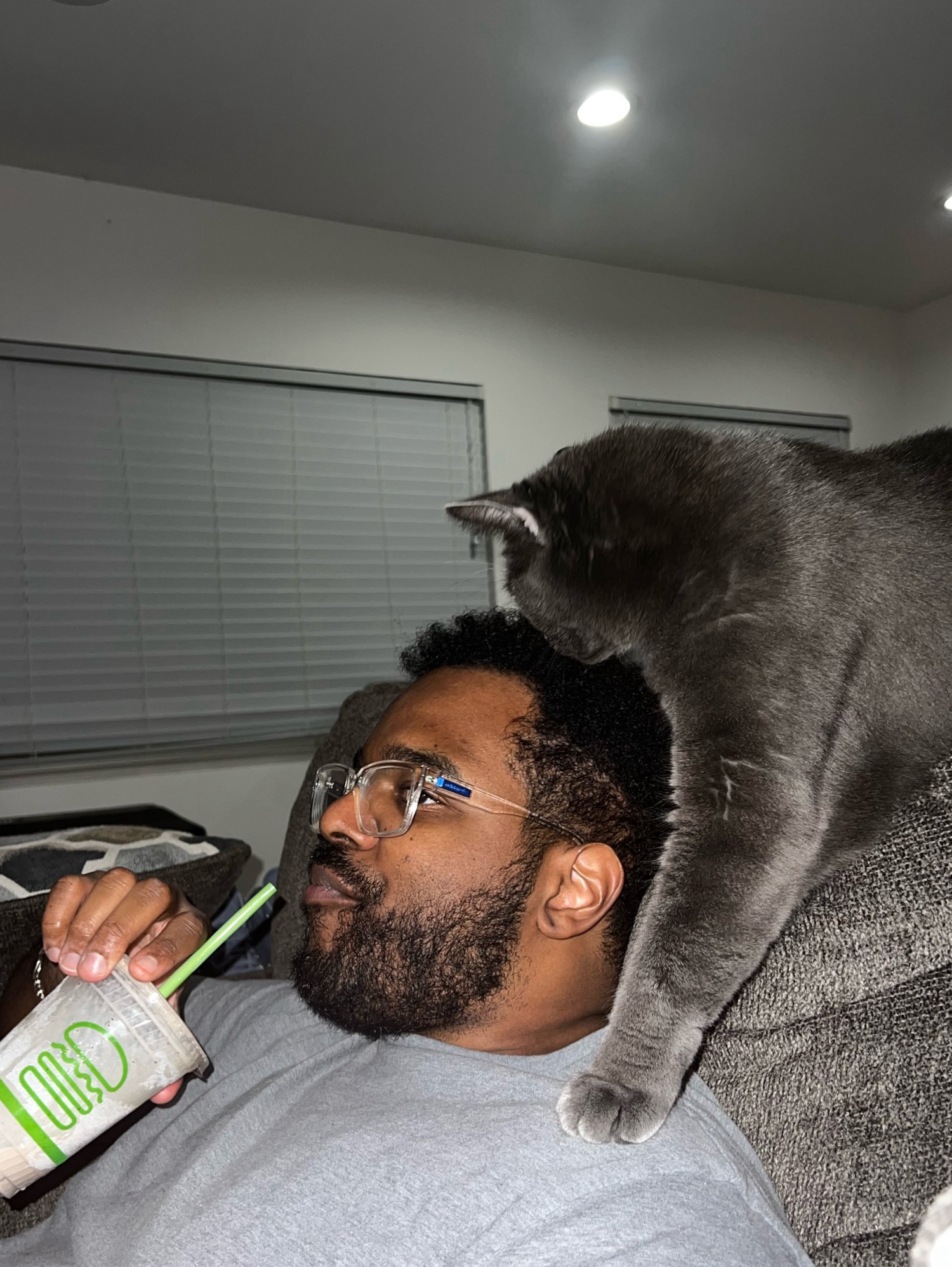 Our cat sitting above my fiancé with a paw on his shoulder. He is drinking a milkshake. 