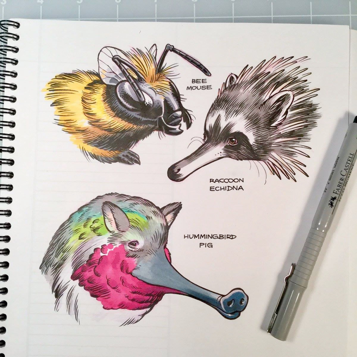 A sketchbook page with 3 hybrid animals: a bee mouse, a raccoon echidna, and a hummingbird pig.