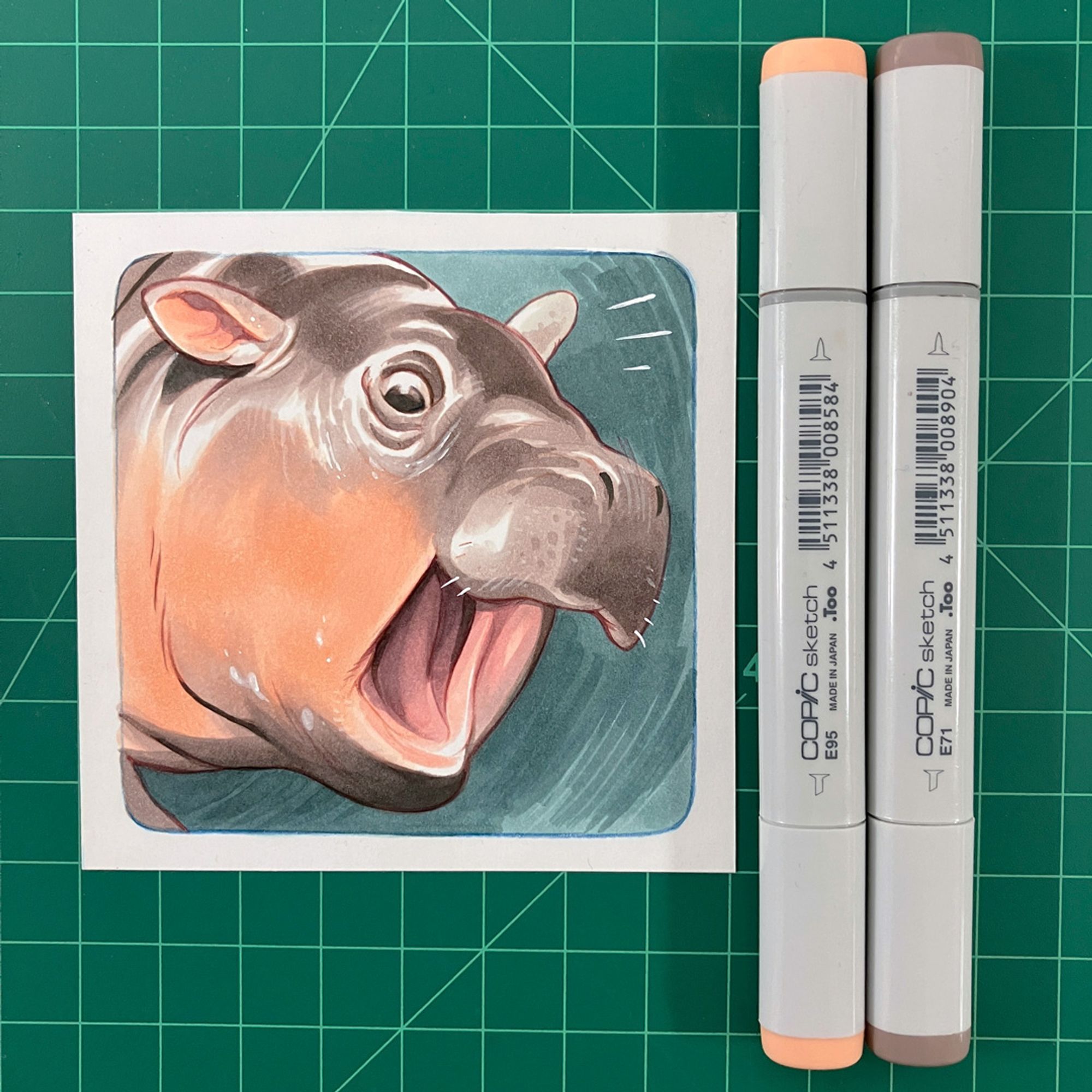 A 4" x 4" marker drawing of baby pygmy hippo Moo Deng on a square of Bristol paper.  To the right are two Copic markers.