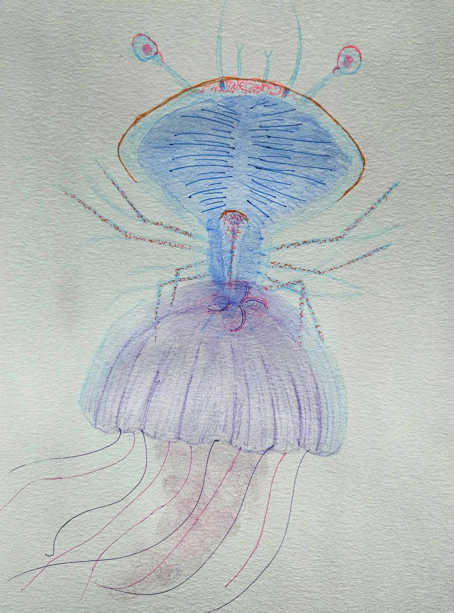 Phyllosoma larva riding a jellyfish, rendered in watercolor pencil, mostly blues purples and pinks. Accents in neon orange and pink pen