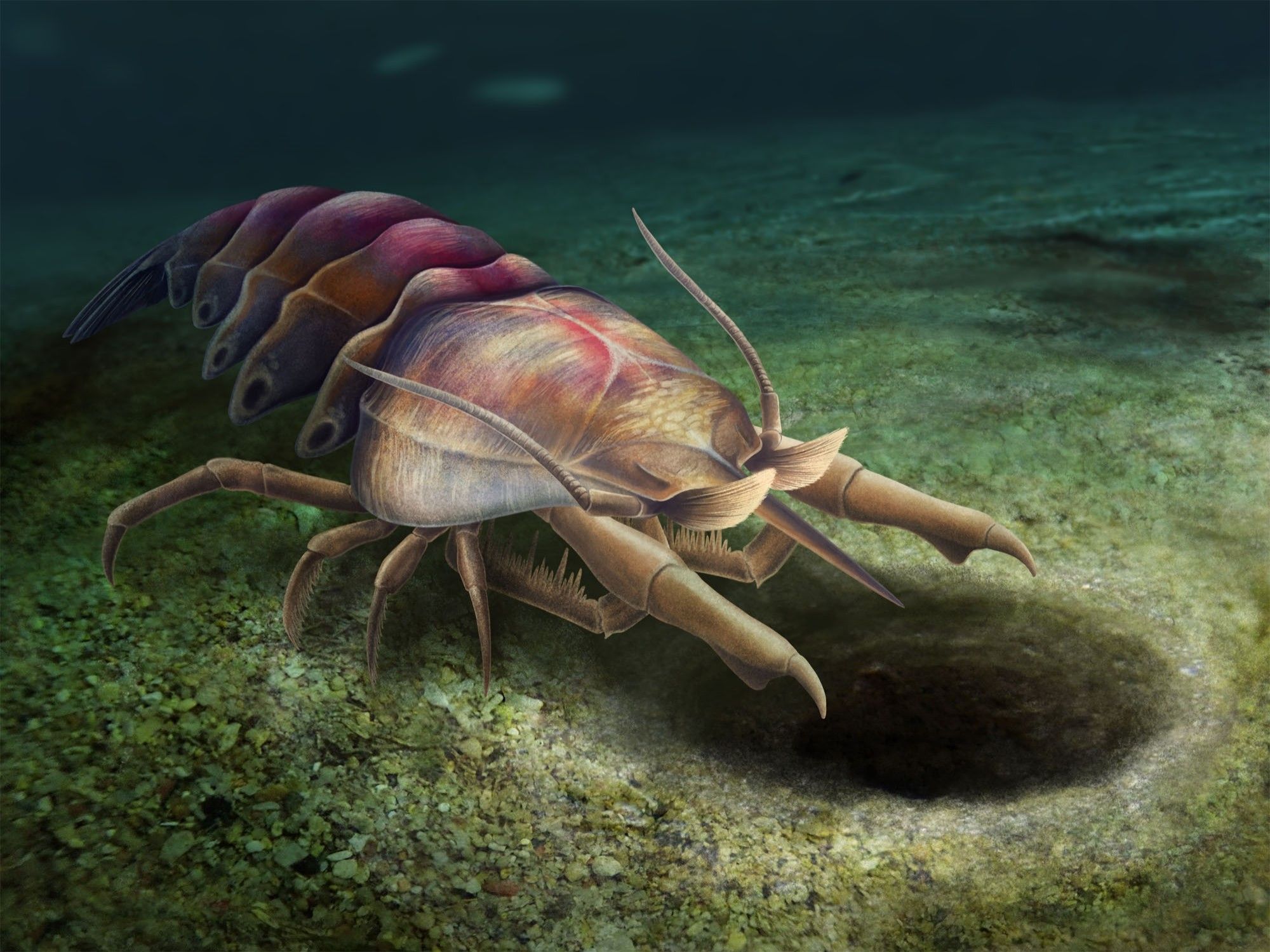 Palaeopalaemon newberryi, the oldest (Devonian) decapod crustacean. It is basically lobster. Reconstruction by Franz Anthony