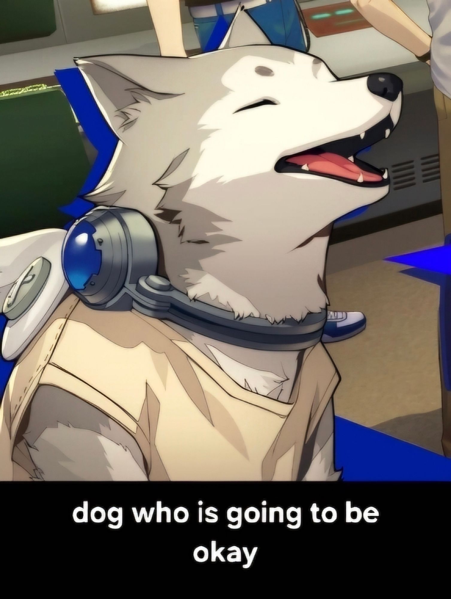 Koromaru Persona 3 with an expression of joy, captioned "dog who is going to be okay"