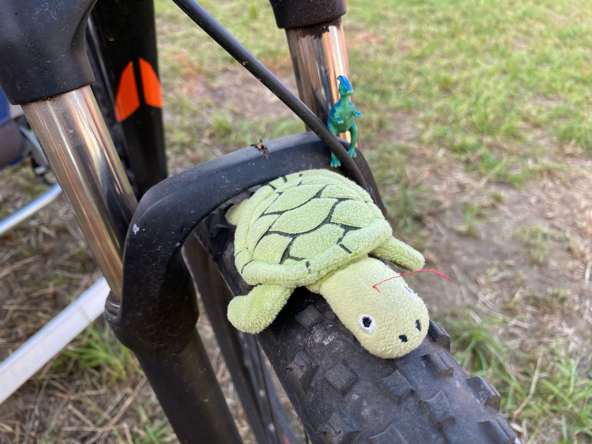 Kleiner Dino und Schildi auf dem MTB