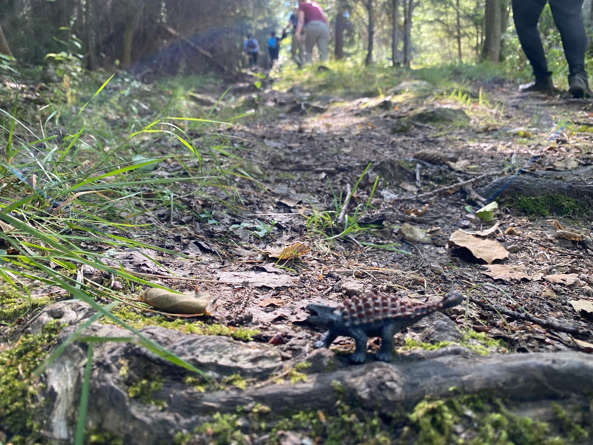 Kleiner Dino beim Anstieg