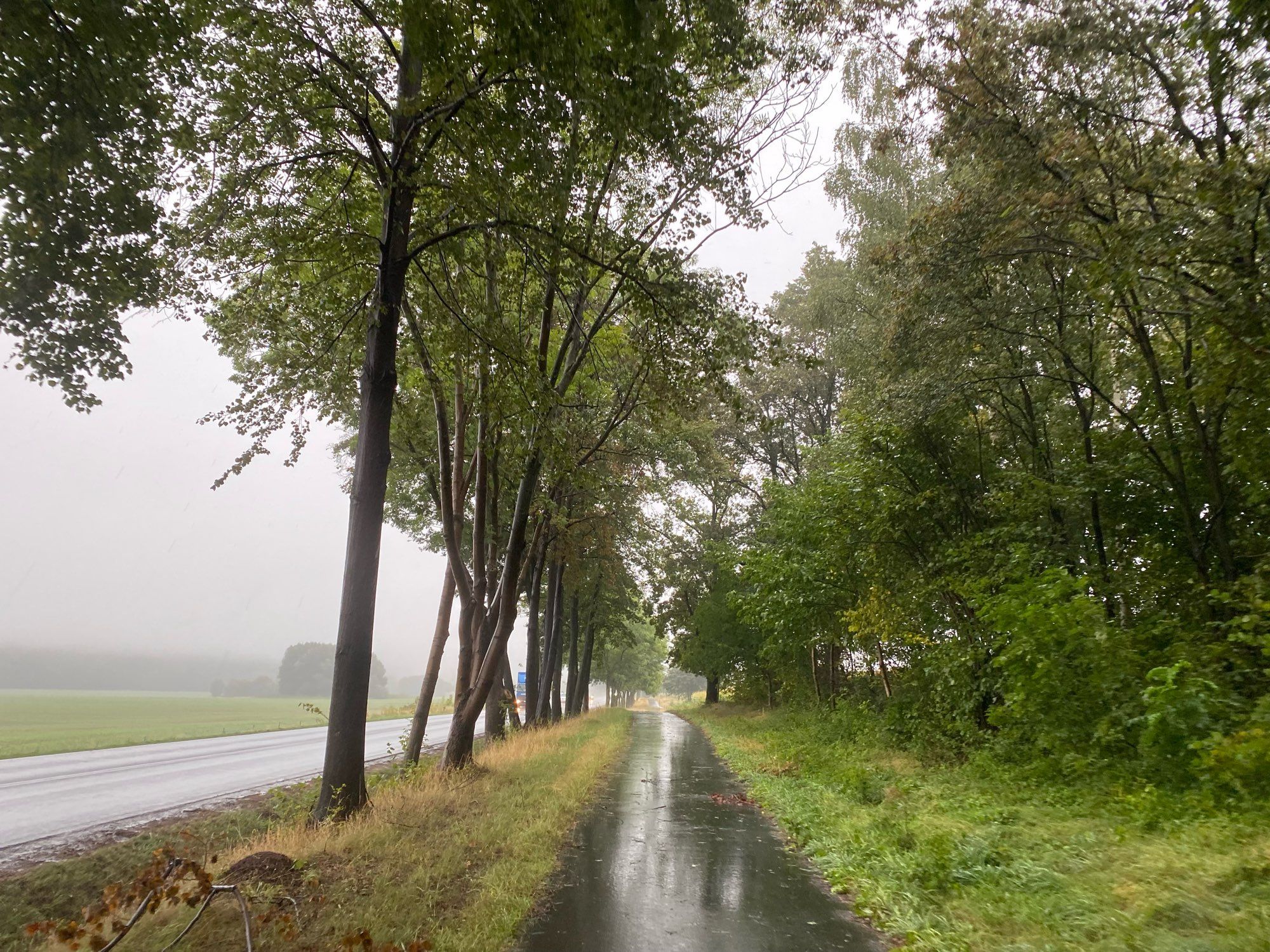 Radweg an der Landstraße mit nebel und regen