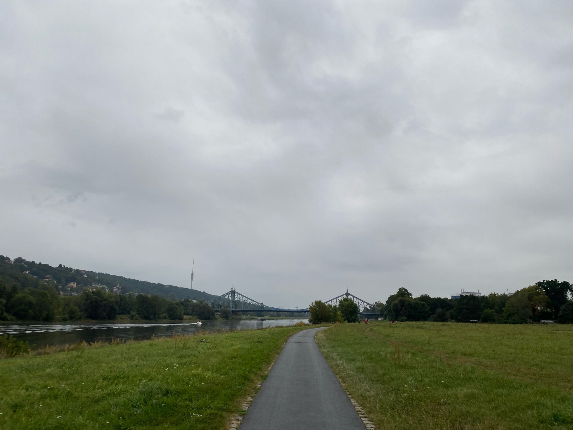 Blaues wunder vom elbradweg aus. Im Hintergrund der Altmarkt mit dem Fernsehturm