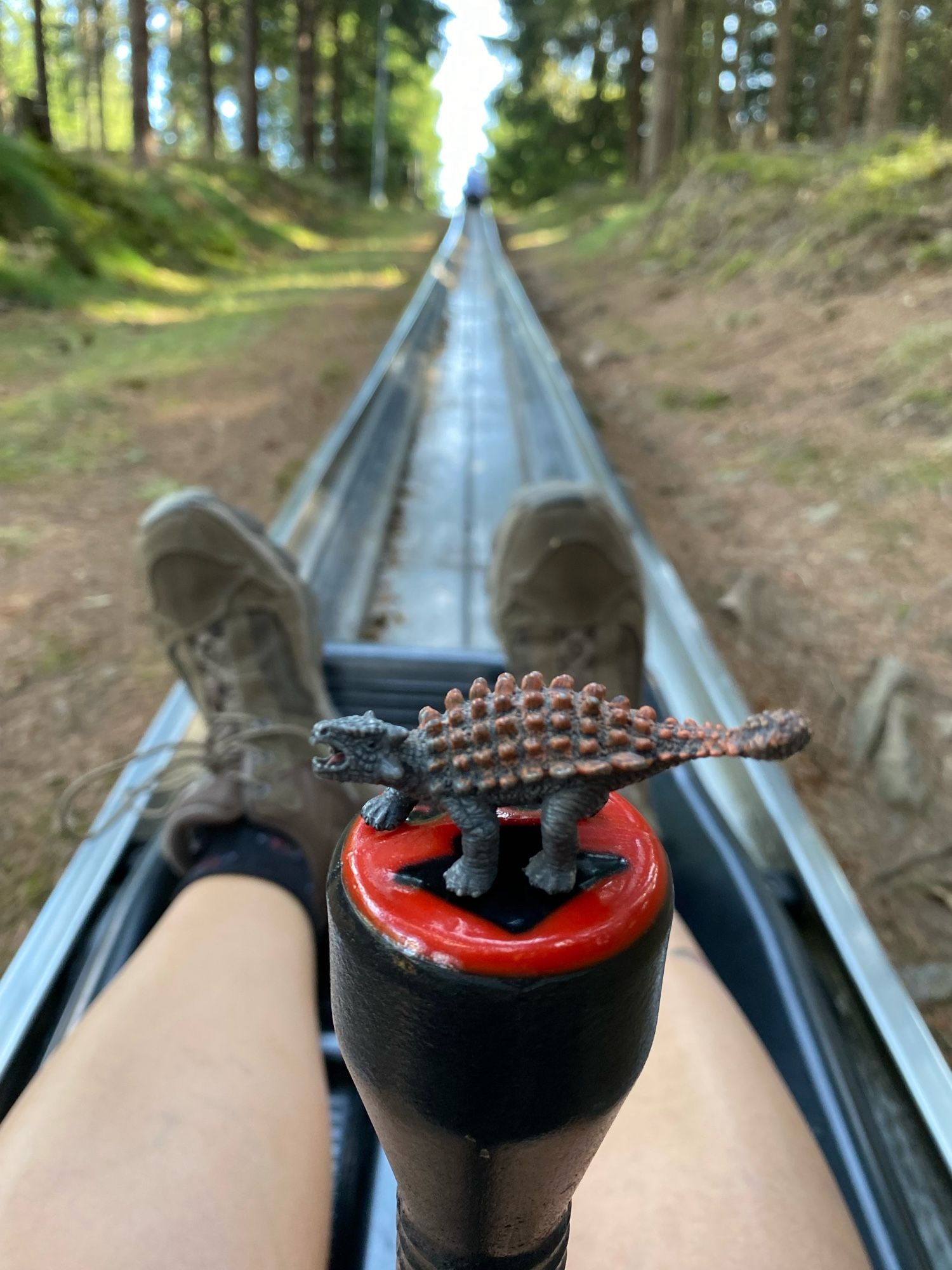 Kleiner Dino auf der Sommerrodelbahn