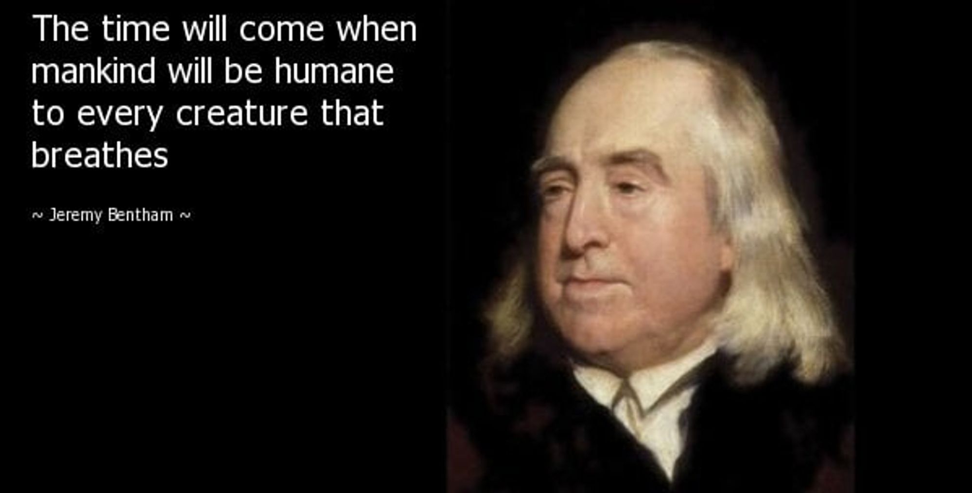 Jeremy Bentham on animal cruelty