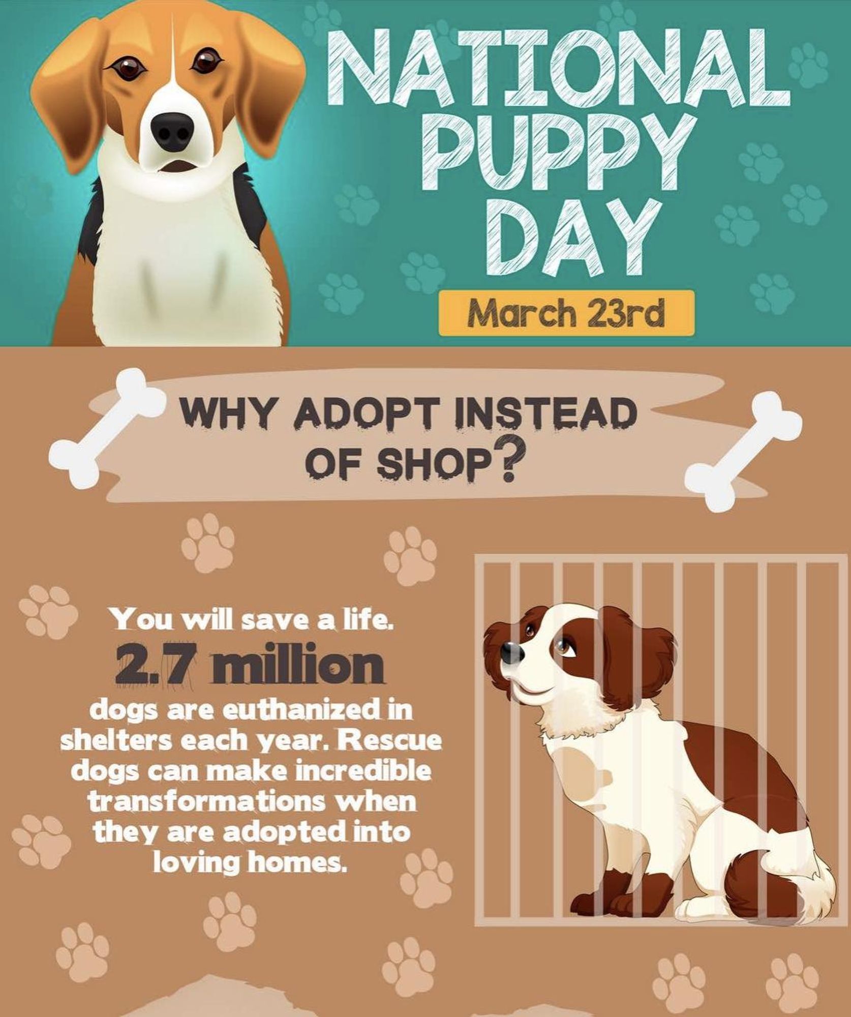 Why adopt instead of shop? You will save a life. 2.7 million dogs are euthanized in shelters each year. Rescue dogs can make incredible transformations when they are adopted into loving homes.