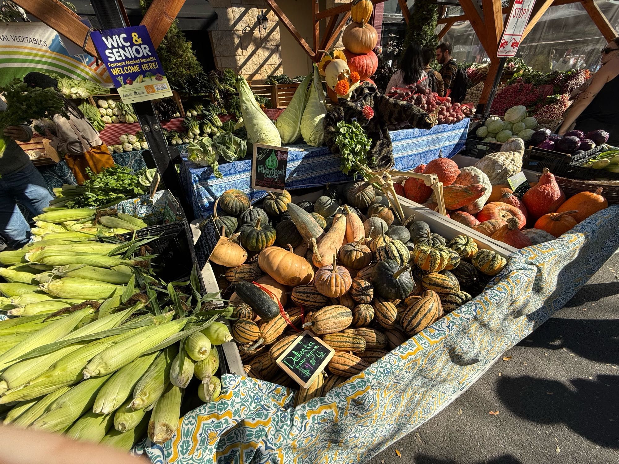 A market stand with corn, pointy cabbages, a dressed up skeleton, and an assortment of colorful small and large winter squash 