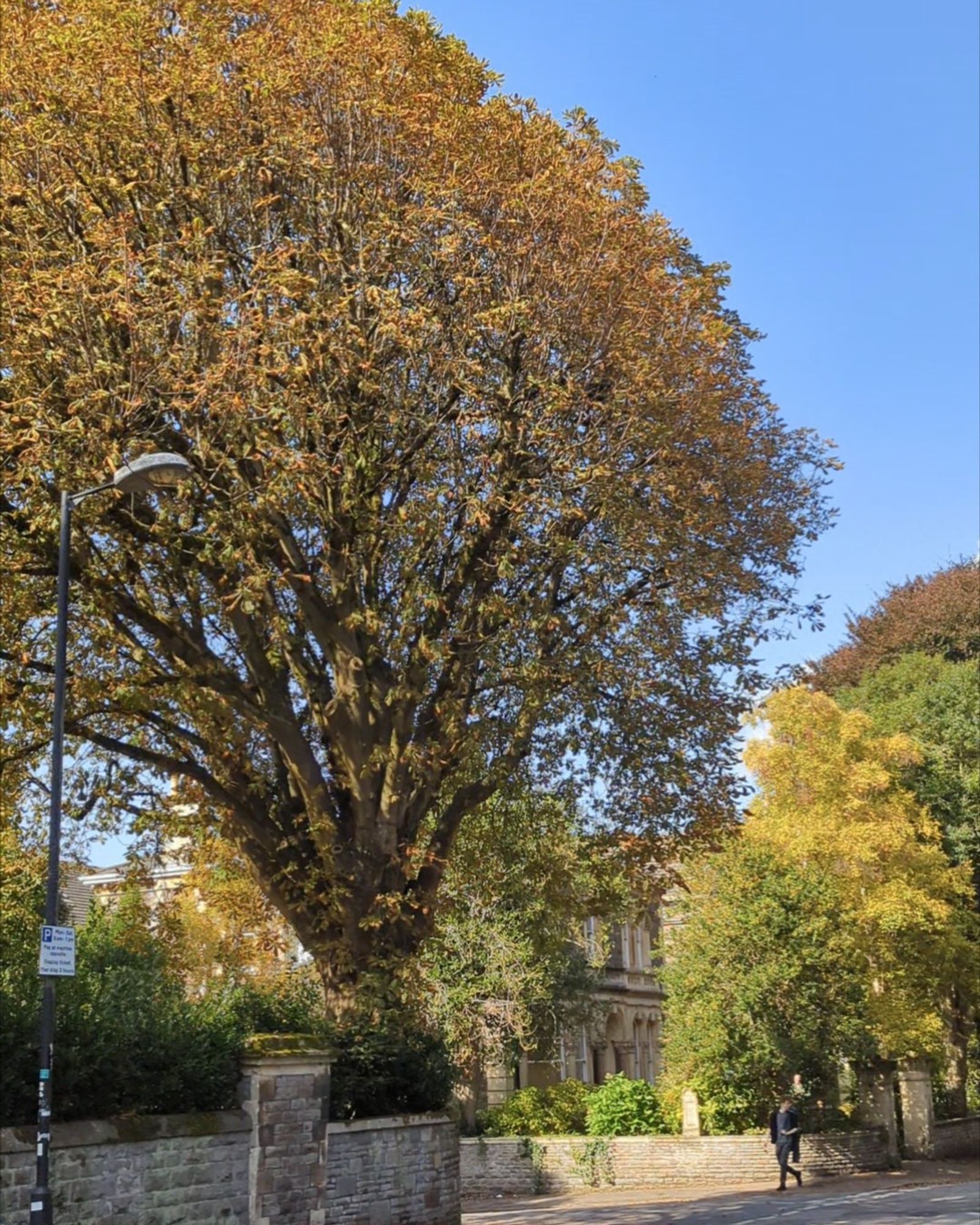 campus of the University of Bristol