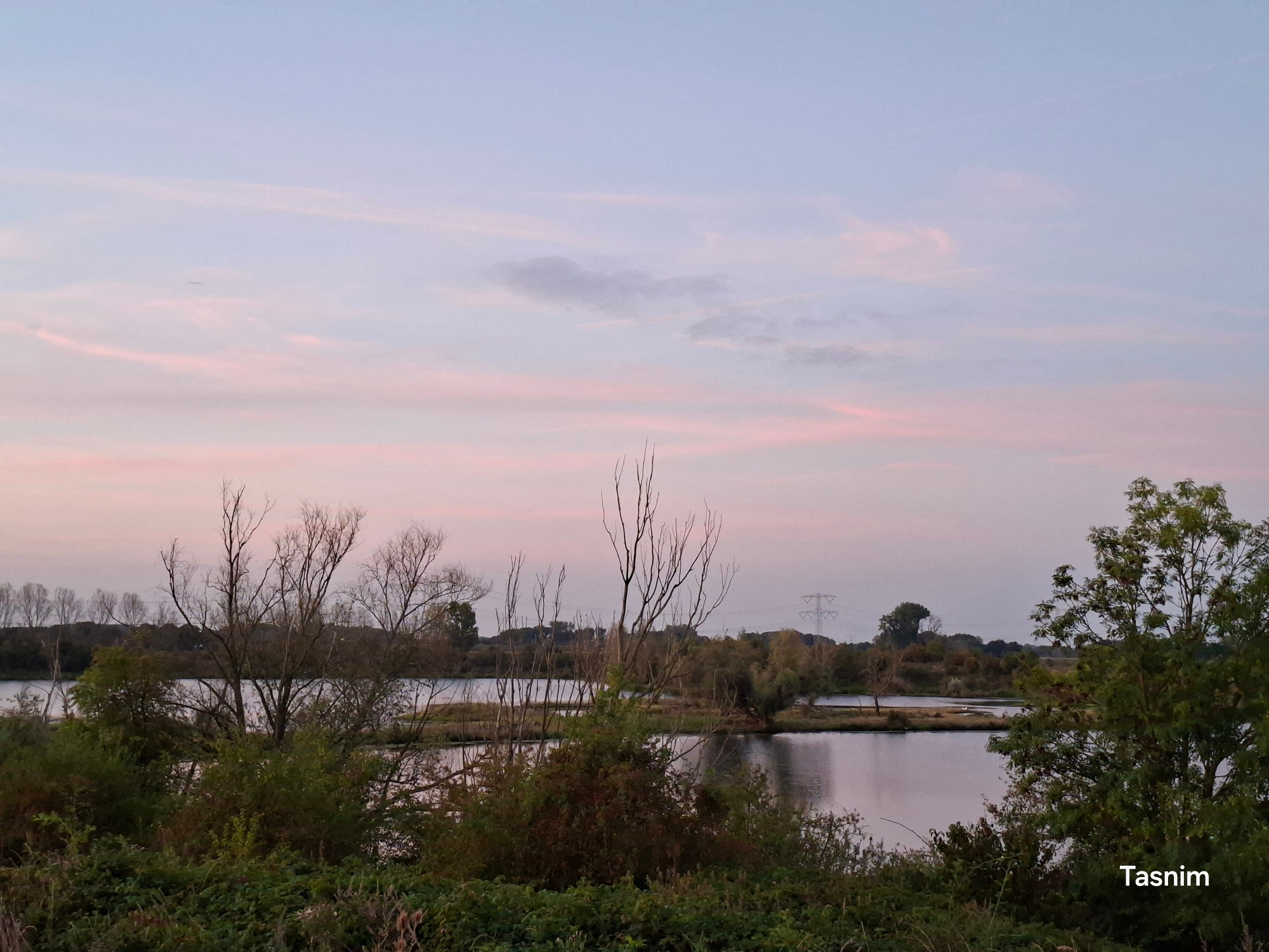 This lake is made to collect water when it rains hard. The island in the middle only comes up in summer time. Many birds stop her to rest. Sometimes the cow friends are on it too. 