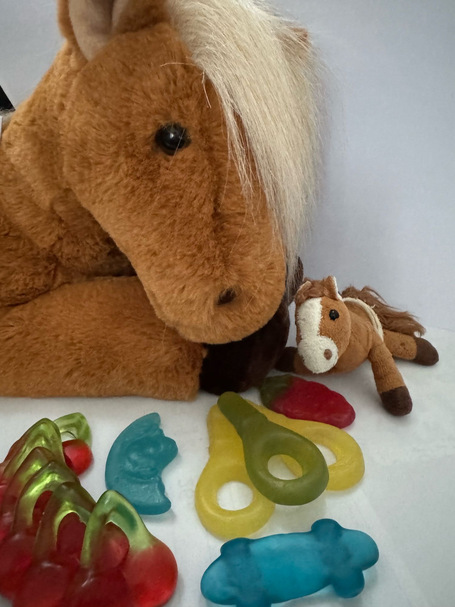 1 größeres Pony mit langer Stirnmähne seitlich und ein kleines Plüschpony, das in die Kamera  guckt hinter verschiedenen Fruchtgummi-Dingen. Kirschen. Schnuller, Mond, Erdbeere.