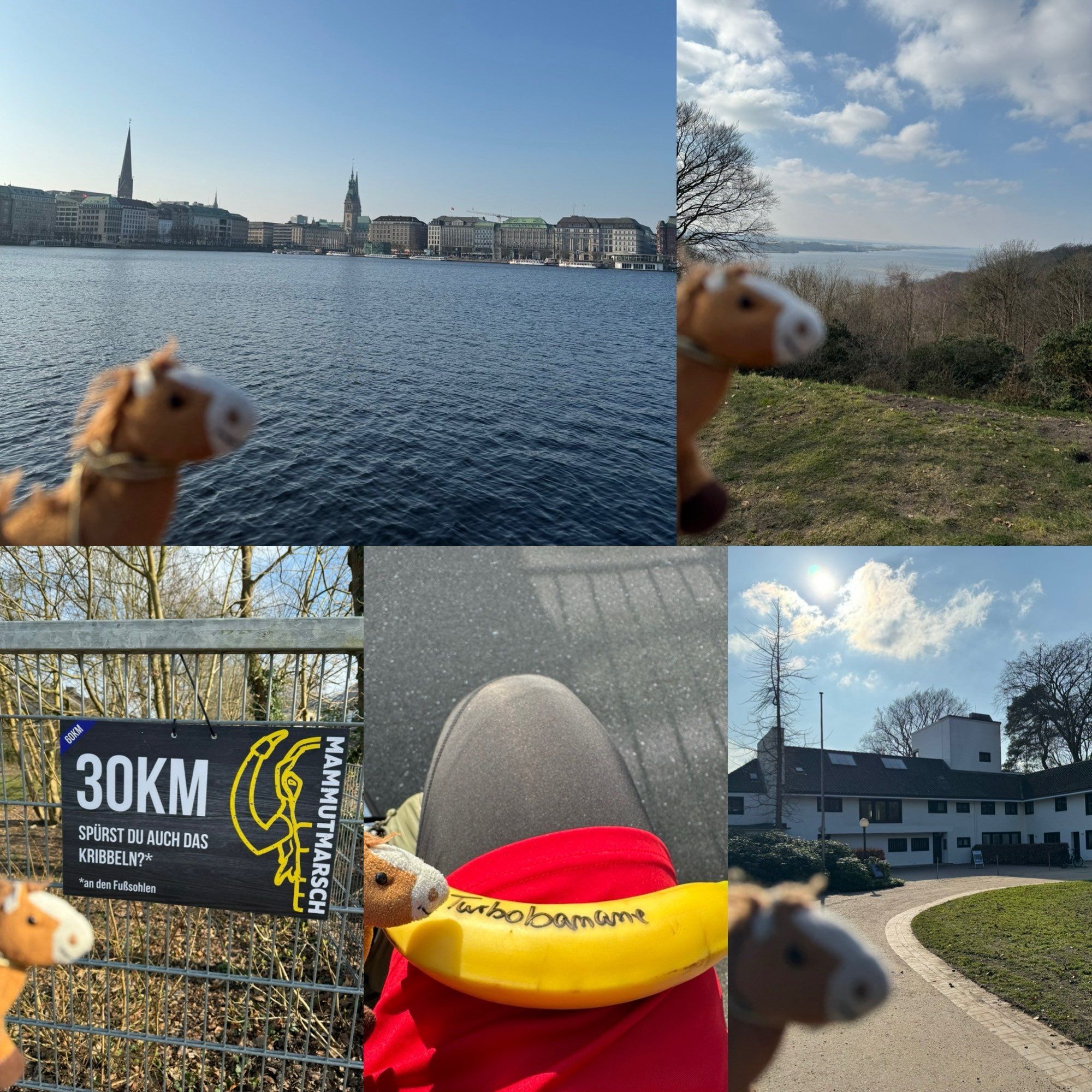 Collage aus 5 Fotos: Folio vor der Binnenalster  mit Rathaus. Folio vor der Elbe (Elbhang Blankenese). Folio vor dem 30km Schild. Folio und die „yTurbobanane“. Folio vor dem Puppenmuseum am Falkenstein.