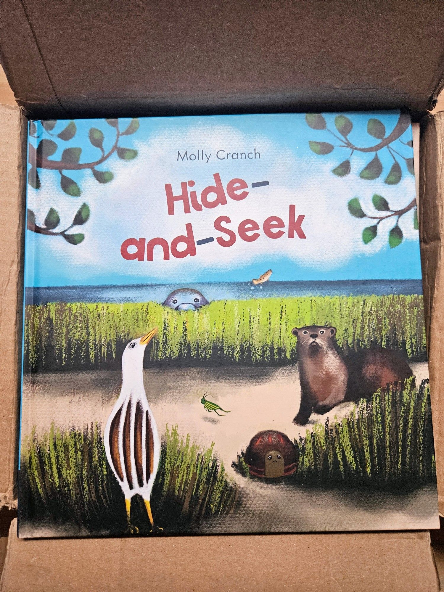 Hide-and-Seek unboxing