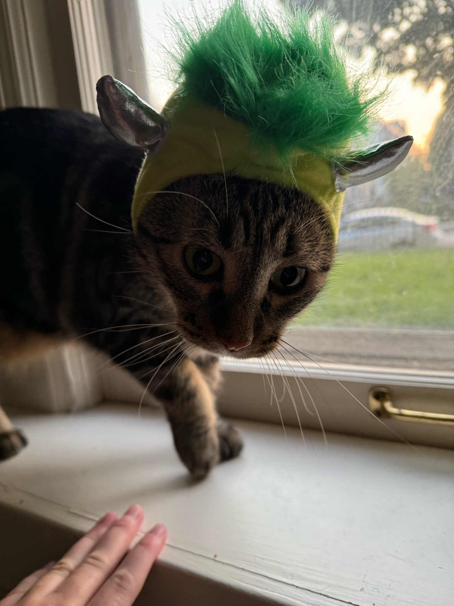 Tonks looks confused in the window wearing the same green demon hat