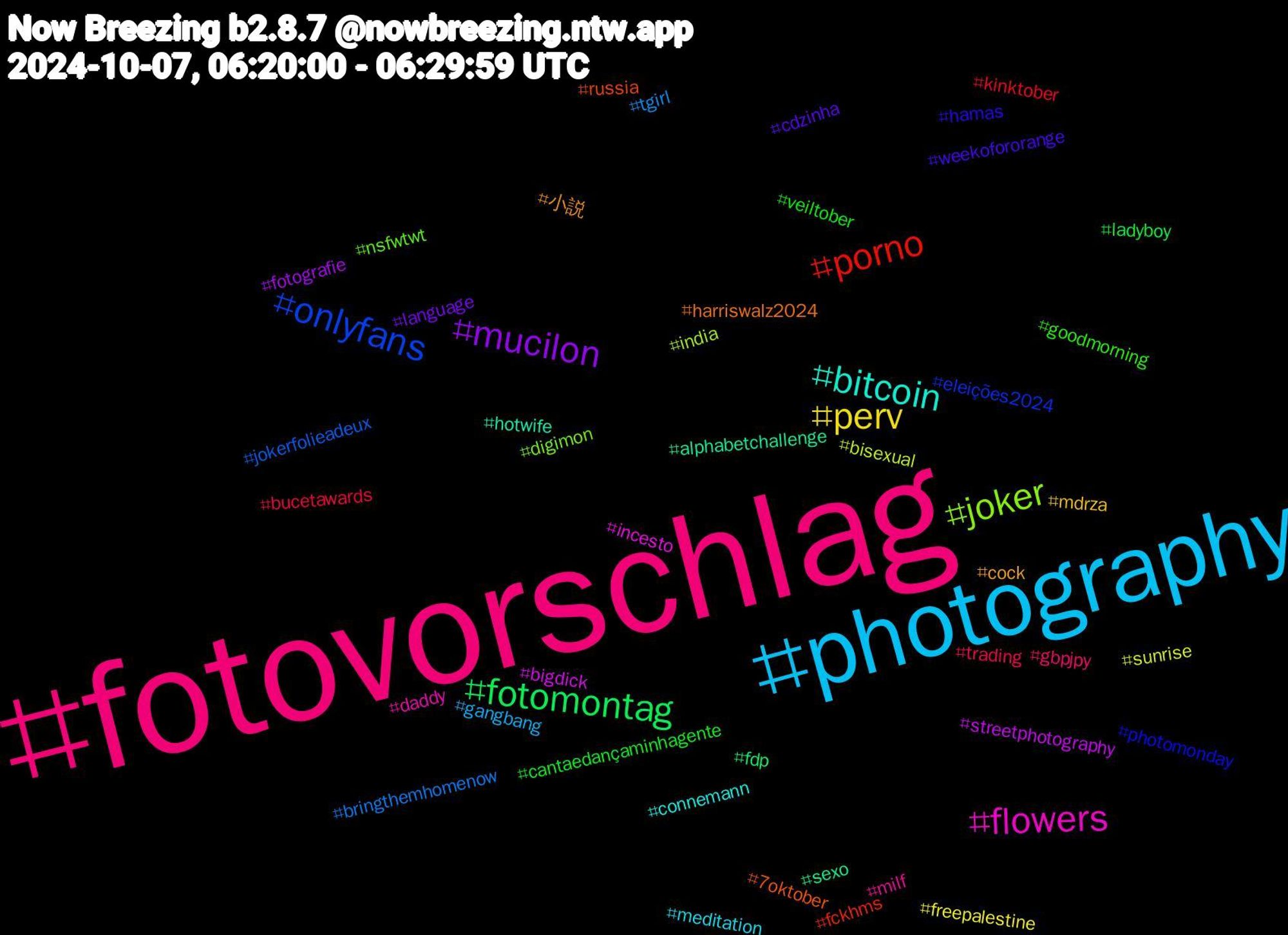 Hashtag Cloud; its hashtagged words/phrases (sorted by weighted frequency, descending):  fotovorschlag, photography, perv, mucilon, fotomontag, porno, onlyfans, joker, flowers, bitcoin, 小説, weekofororange, veiltober, trading, tgirl, sunrise, streetphotography, sexo, russia, photomonday, nsfwtwt, milf, meditation, mdrza, language, ladyboy, kinktober, jokerfolieadeux, india, incesto, hotwife, harriswalz2024, hamas, goodmorning, gbpjpy, gangbang, freepalestine, fotografie, fdp, fckhms, eleições2024, digimon, daddy, connemann, cock, cdzinha, cantaedançaminhagente, bucetawards, bringthemhomenow, bisexual, bigdick, alphabetchallenge, 7oktober