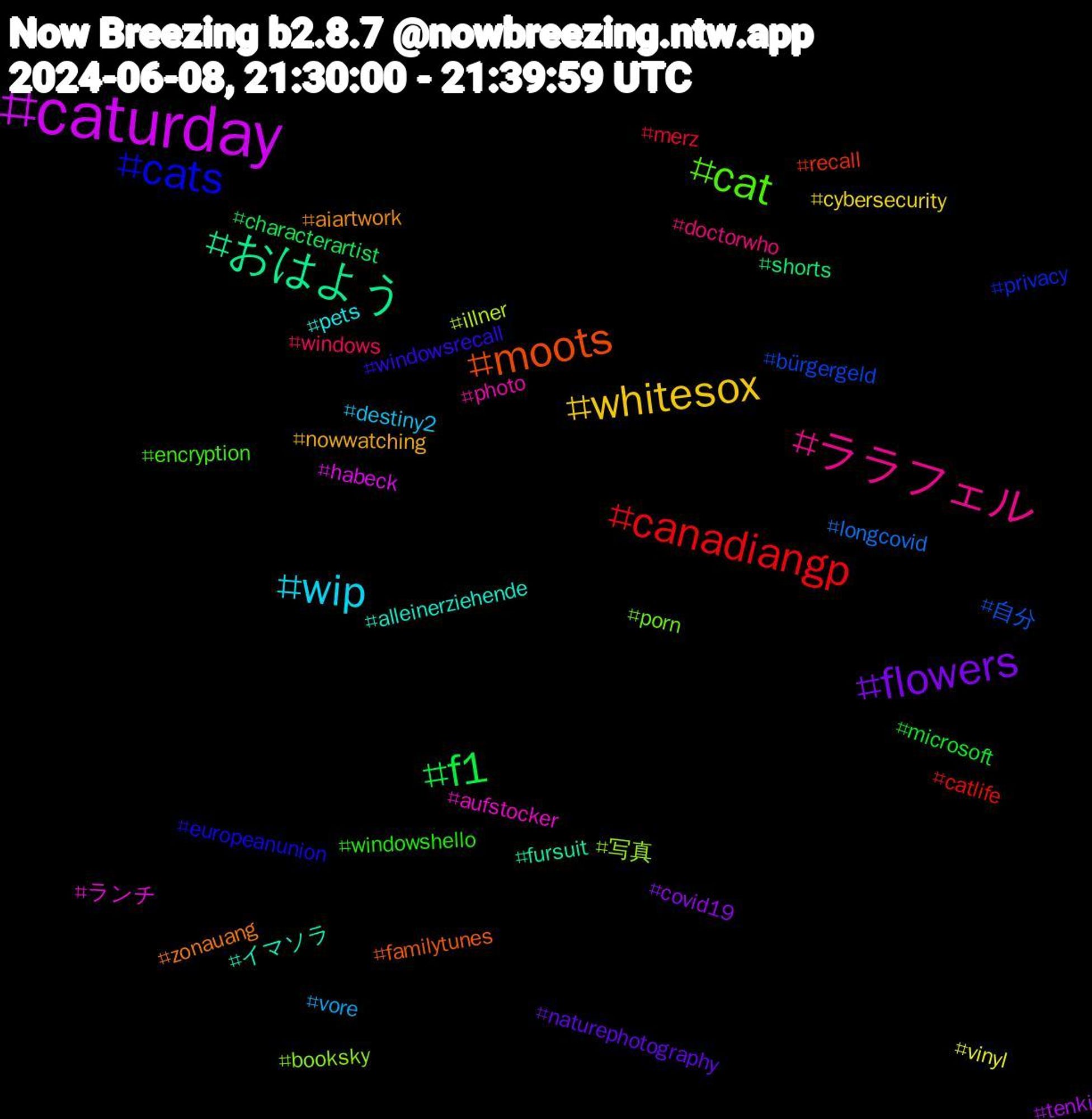 Hashtag Cloud; its hashtagged words/phrases (sorted by weighted frequency, descending):  caturday, おはよう, moots, cats, cat, ララフェル, wip, whitesox, flowers, f1, canadiangp, 自分, 写真, ランチ, イマソラ, zonauang, windowsrecall, windowshello, windows, vore, vinyl, tenki, shorts, recall, privacy, porn, photo, pets, nowwatching, naturephotography, microsoft, merz, longcovid, illner, habeck, fursuit, familytunes, europeanunion, encryption, doctorwho, destiny2, cybersecurity, covid19, characterartist, catlife, bürgergeld, booksky, aufstocker, alleinerziehende, aiartwork