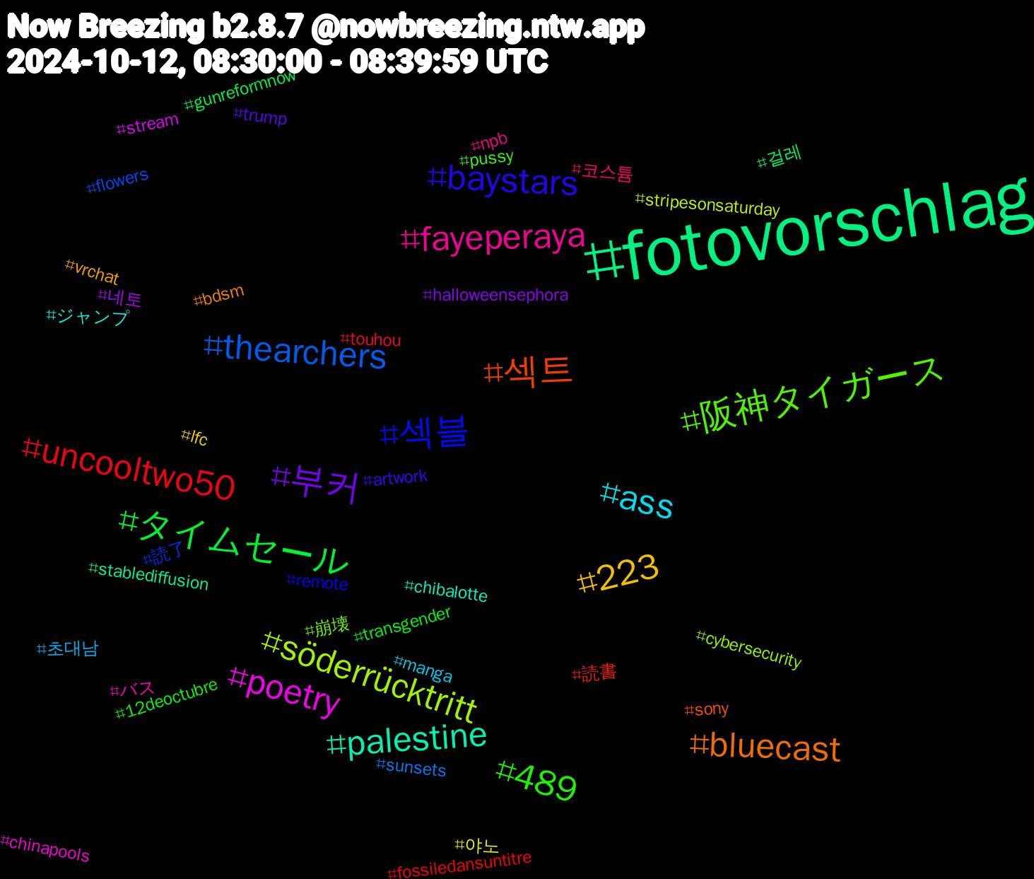 Hashtag Cloud; its hashtagged words/phrases (sorted by weighted frequency, descending):  fotovorschlag, 섹트, 섹블, 阪神タイガース, fayeperaya, ass, 223, 부커, タイムセール, uncooltwo50, thearchers, söderrücktritt, poetry, palestine, bluecast, baystars, 489, 코스튬, 초대남, 야노, 네토, 걸레, 読書, 読了, 崩壊, バス, ジャンプ, vrchat, trump, transgender, touhou, sunsets, stripesonsaturday, stream, stablediffusion, sony, remote, pussy, npb, manga, lfc, halloweensephora, gunreformnow, fossiledansuntitre, flowers, cybersecurity, chinapools, chibalotte, bdsm, artwork, 12deoctubre