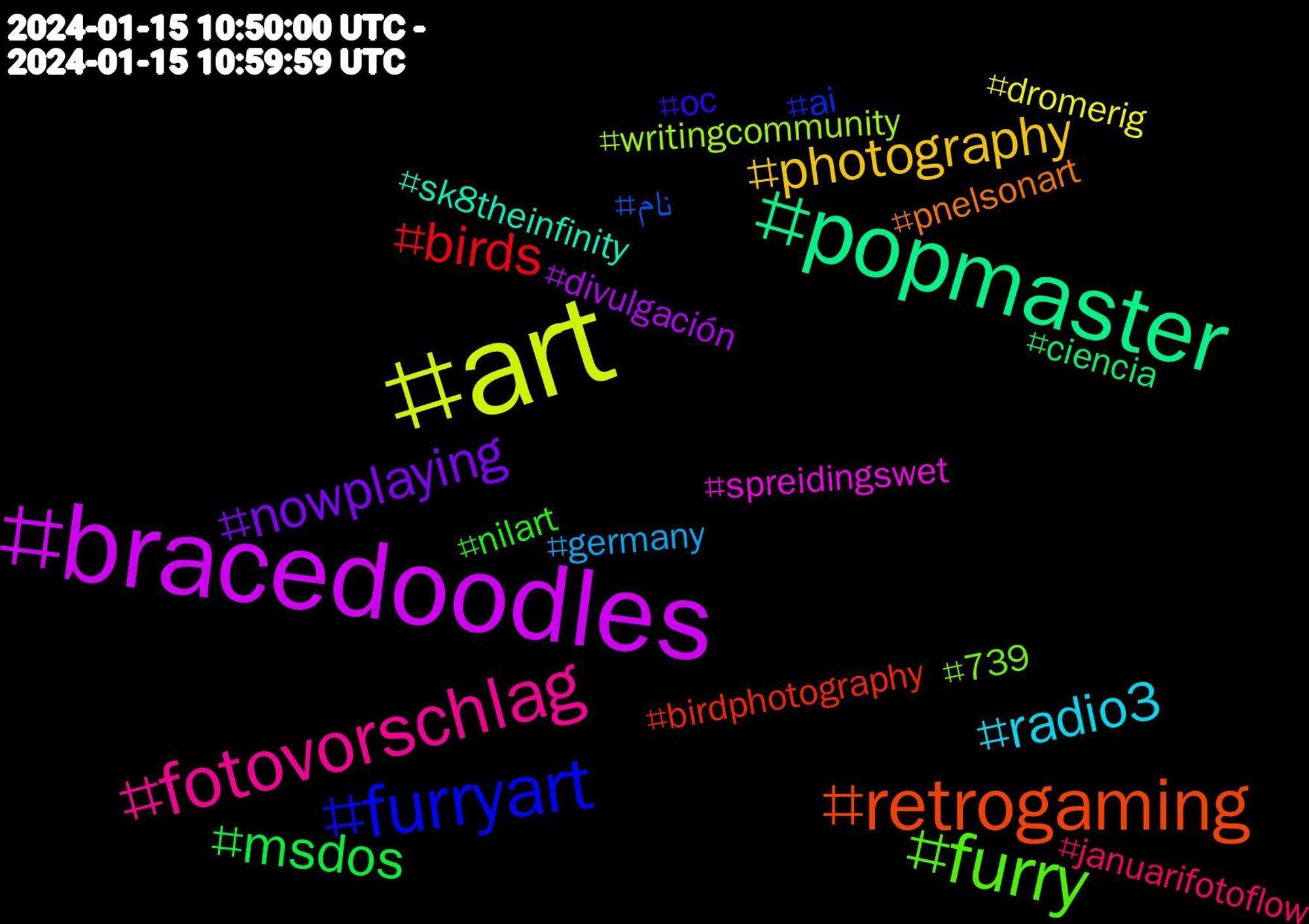 Hashtag Cloud; its hashtagged words (sorted by weighted frequency, descending):  art, bracedoodles, popmaster, retrogaming, furryart, furry, fotovorschlag, radio3, photography, nowplaying, msdos, birds, نام, writingcommunity, spreidingswet, sk8theinfinity, pnelsonart, oc, nilart, januarifotoflow, germany, dromerig, divulgación, ciencia, birdphotography, ai, 739