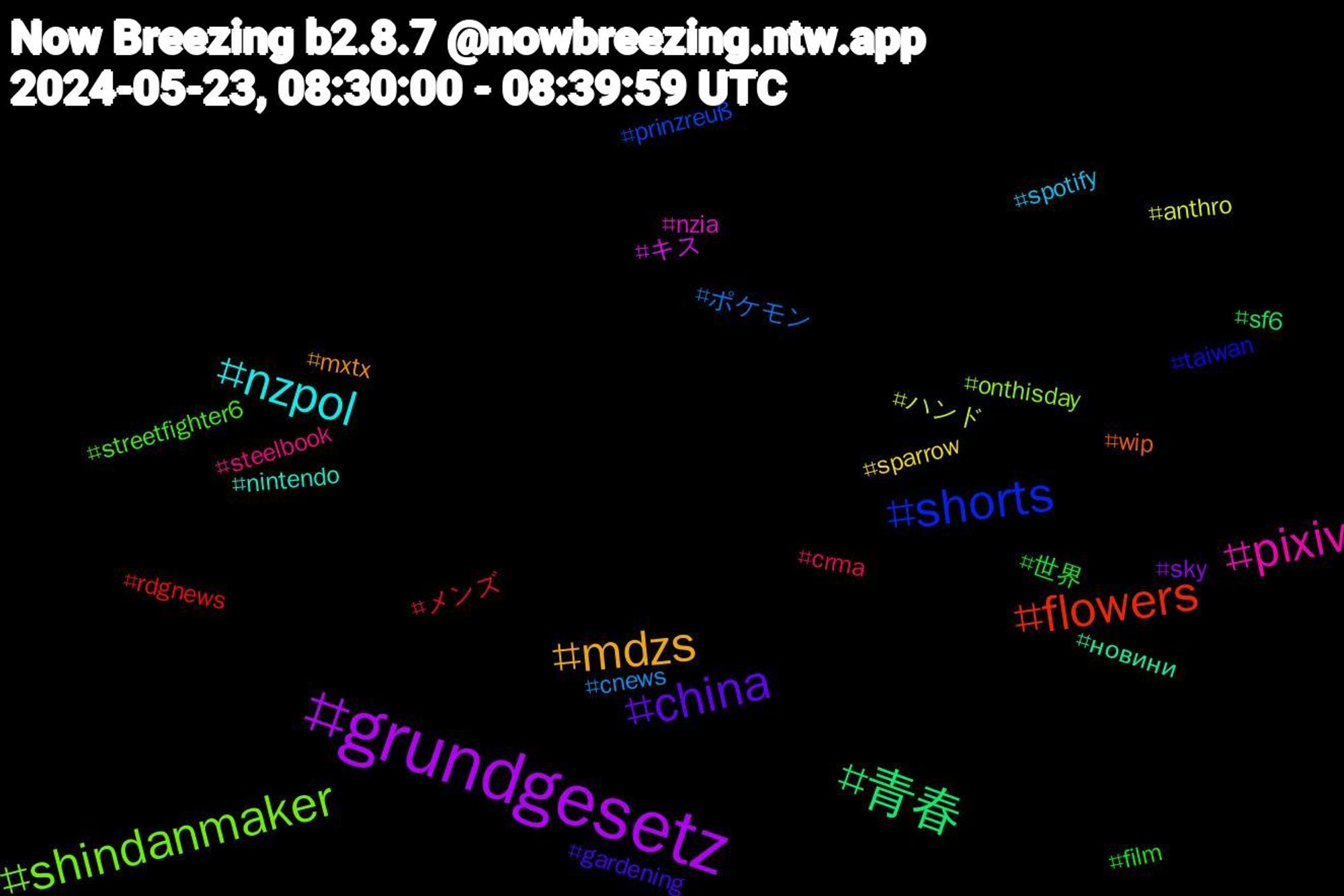 Hashtag Cloud; its hashtagged words/phrases (sorted by weighted frequency, descending):  grundgesetz, 青春, flowers, shorts, shindanmaker, pixiv, nzpol, mdzs, china, 世界, メンズ, ポケモン, ハンド, キス, новини, wip, taiwan, streetfighter6, steelbook, spotify, sparrow, sky, sf6, rdgnews, prinzreuß, onthisday, nzia, nintendo, mxtx, gardening, film, crma, cnews, anthro