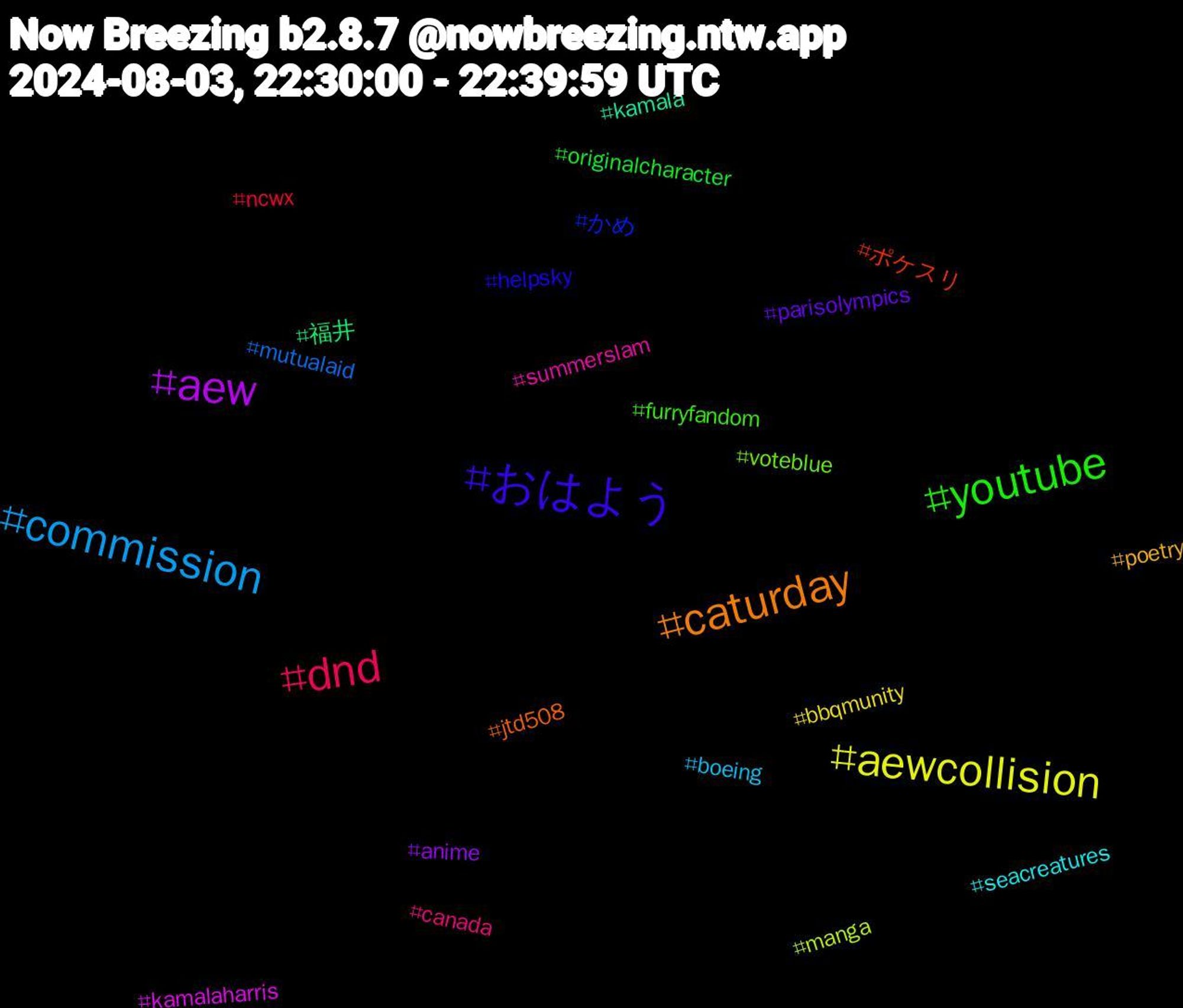 Hashtag Cloud; its hashtagged words/phrases (sorted by weighted frequency, descending):  caturday, おはよう, youtube, dnd, commission, aewcollision, aew, 福井, ポケスリ, かめ, voteblue, summerslam, seacreatures, poetry, parisolympics, originalcharacter, ncwx, mutualaid, manga, kamalaharris, kamala, jtd508, helpsky, furryfandom, canada, boeing, bbqmunity, anime