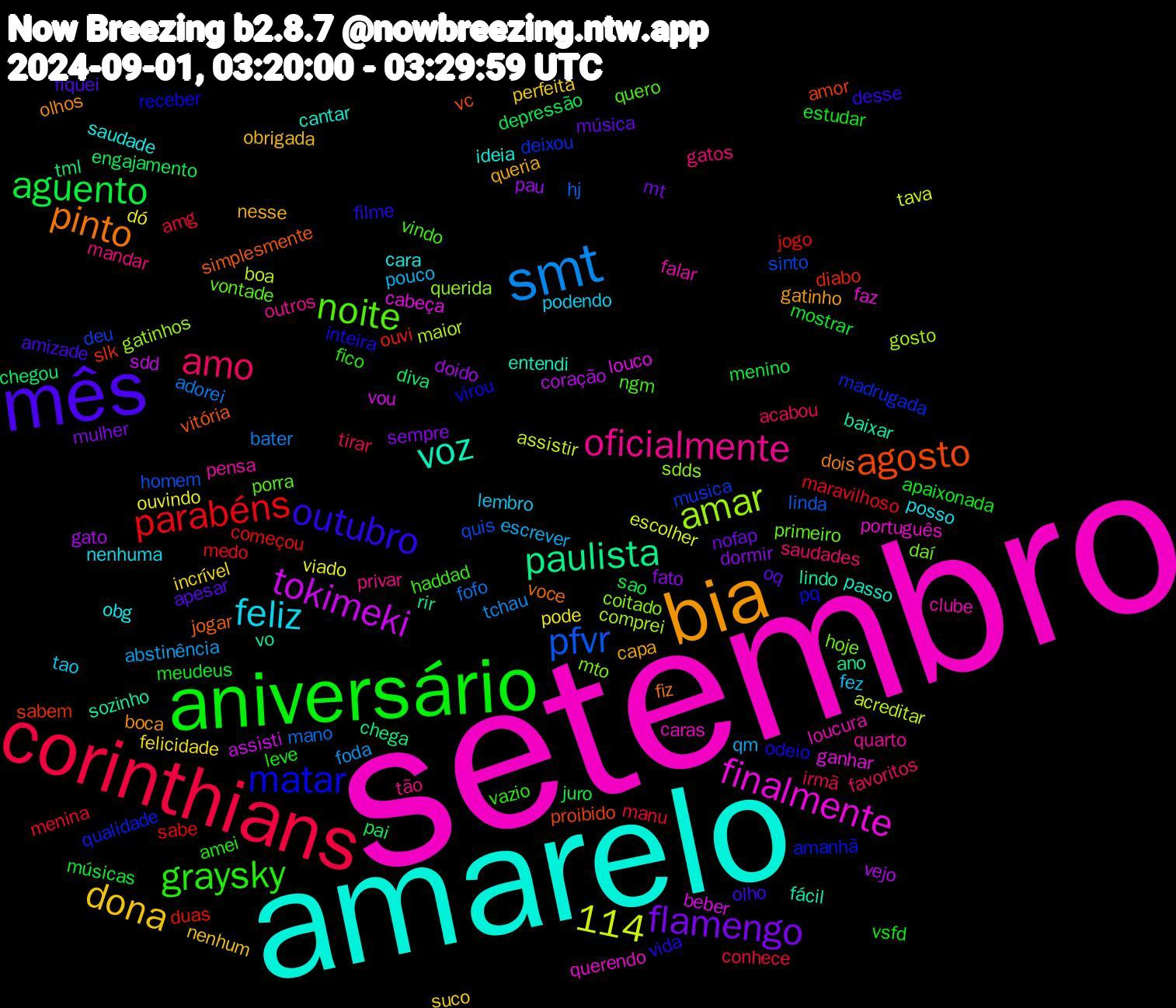 Word Cloud; its top words (sorted by weighted frequency, descending):  setembro, amarelo, bia, mês, aniversário, corinthians, smt, 114, tokimeki, paulista, agosto, matar, noite, oficialmente, feliz, dona, flamengo, aguento, parabéns, pfvr, amar, finalmente, voz, pinto, outubro, graysky, amo, qm, ouvindo, gato, chegou, slk, madrugada, hoje, falar, saudade, queria, oq, meudeus, manu, fofo, boa, beber, sozinho, simplesmente, odeio, ngm, mandar, lembro, incrível, dormir, depressão, começou, sinto, sdds, português, passo, olhos, olho, leve, irmã, foda, escolher, coração, chega, amor, amanhã, vontade, quarto, posso, obrigada, nofap, músicas, medo, hj, comprei, cabeça, baixar, voce, vida, vazio, saudades, pouco, pode, pau, pai, ouvi, musica, mto, loucura, ideia, gatinho, fiquei, estudar, conhece, bater, assistir, assisti, ano, vc, receber, quero, privar, podendo, perfeita, mulher, juro, jogo, homem, gatinhos, faz, entendi, dois, desse, amei, acabou, abstinência, viado, vejo, tml, sabem, qualidade, primeiro, pensa, obg, nesse, música, mostrar, menina, mano, maior, louco, lindo, jogar, inteira, haddad, gatos, fez, felicidade, fato, engajamento, duas, deu, coitado, caras, cantar, boca, amizade, vsfd, tirar, tchau, tava, sdd, rir, proibido, pq, porra, outros, nenhuma, nenhum, mt, menino, maravilhoso, linda, gosto, ganhar, fácil, fiz, filme, fico, favoritos, escrever, dó, doido, diva, diabo, deixou, daí, clube, cara, capa, apesar, apaixonada, amg, adorei, acreditar, vou, vo, vitória, virou, vindo, tão, tao, suco, sempre, sao, sabe, quis, querida, querendo