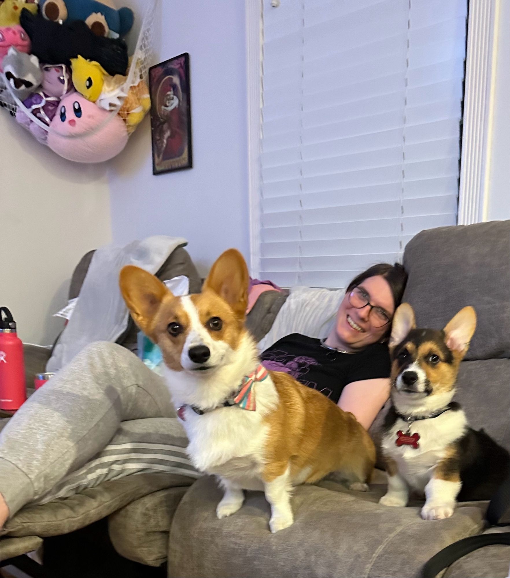 Min and Zero (our corgis) sitting on our couch in front of Mary.