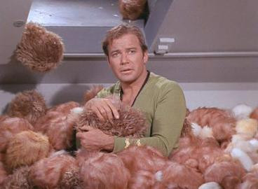 Kirk deluged by tribbles later in same episode