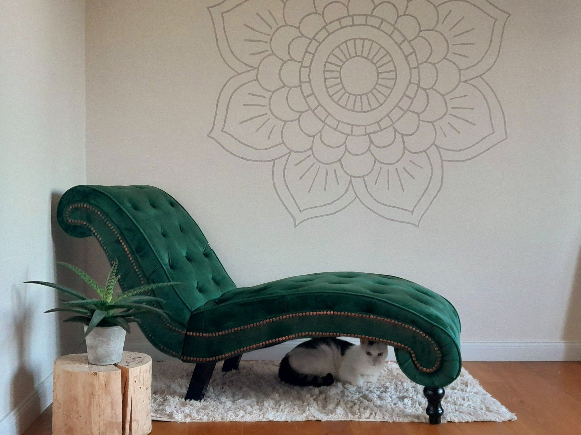 Eine dunkelgrüne Chaiselongue, darunter Katze Kasimir. Im Hintergrund ein Mandala an der Wand