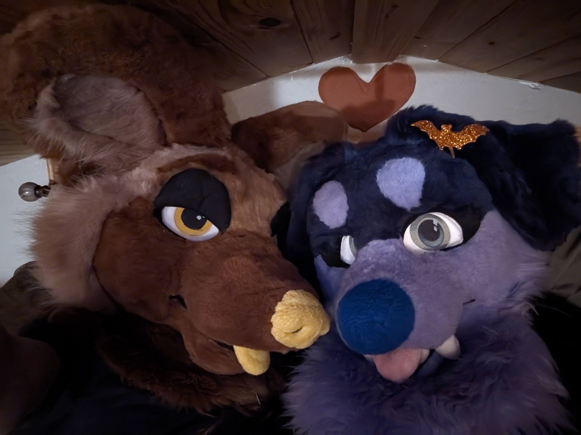 Two people in fursuit, one a brown African Wild Dog, and the other a purple Dog, with a heart on the wall in the background. The wild dog's ears are bent against the ceiling because they're big