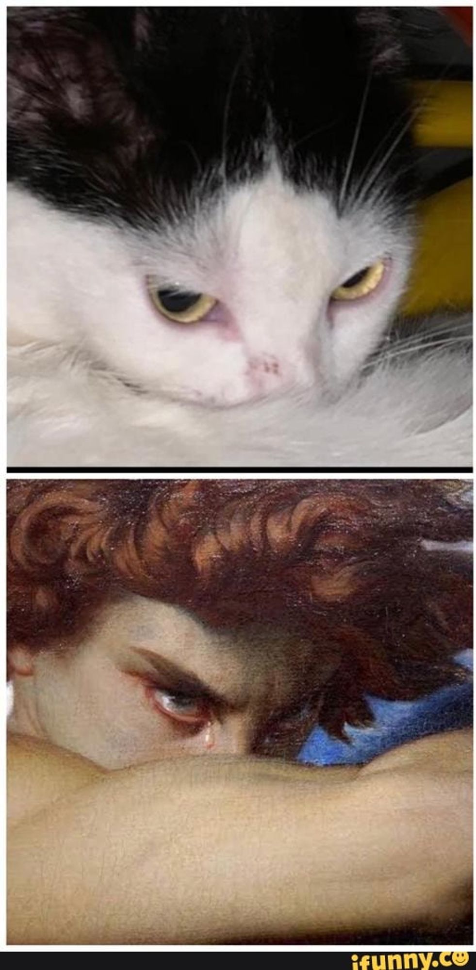 Foto dividida ao meio comparando duas imagens, em cima mostra um gato com olhos bravos, focinho e boca cobertos pelo rabinho e embaixo a obra O Anjo Caído, de Alexandre Cabanel, que retrata Lúcifer após sua queda do Paraíso, em posição semelhante ao gato.