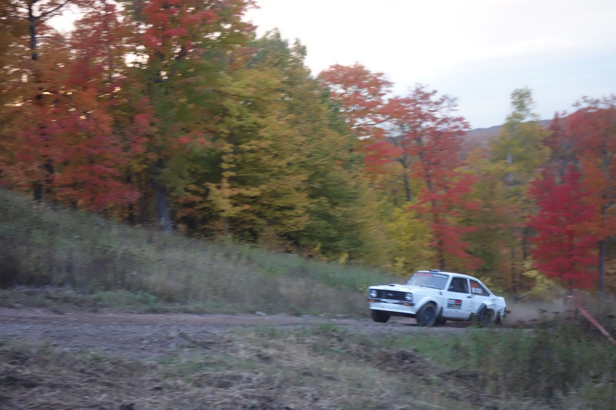 A Ford escort cosworth screaming a beautiful song up a hill in a red/green/orange/yellow leaved forest 