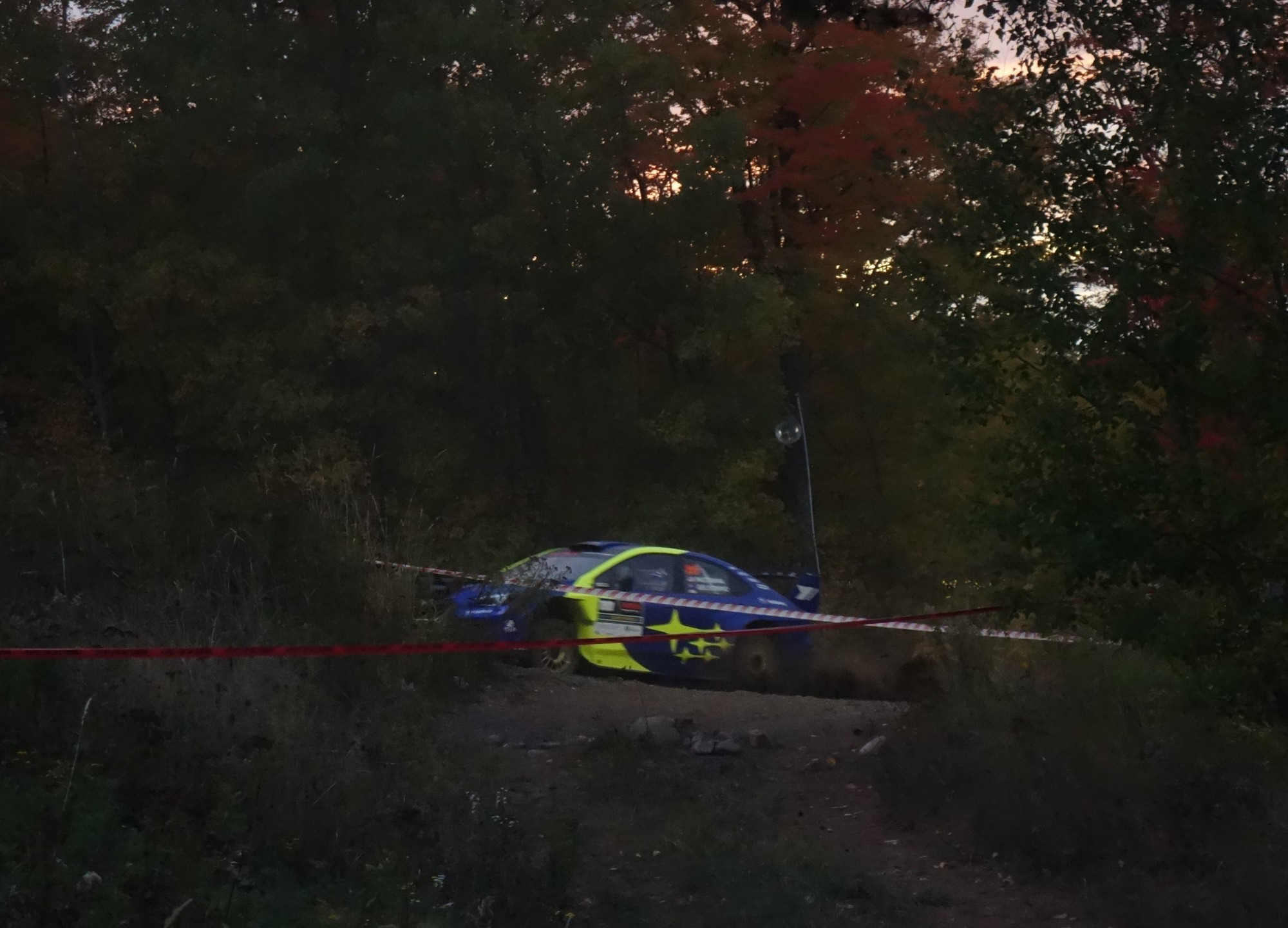 Travis Pastrana's Subaru screaming up a hill shot through a gap in trees in a forest with changing color leaves with some pine trees mixed in. 